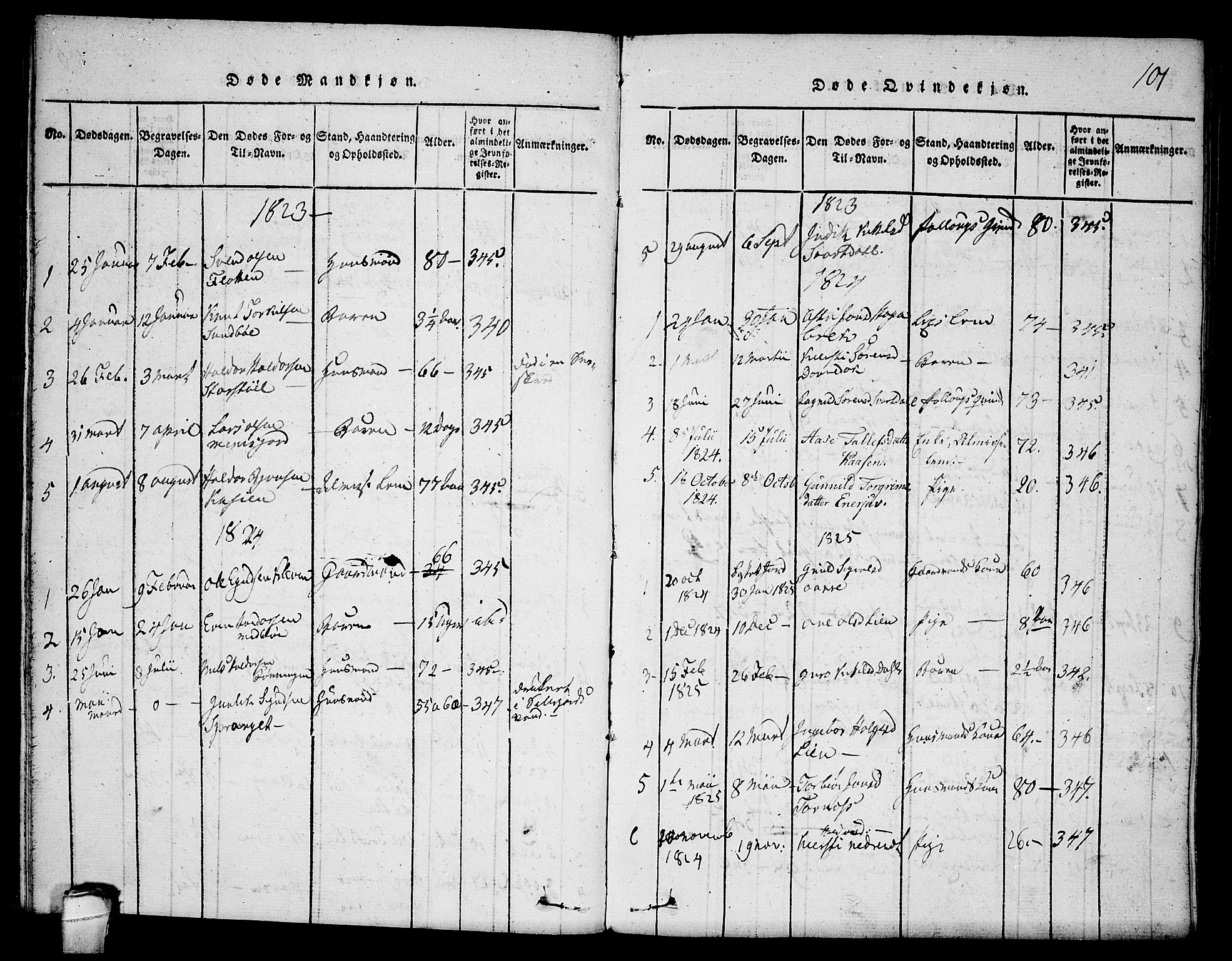 Seljord kirkebøker, SAKO/A-20/F/Fb/L0001: Parish register (official) no. II 1, 1815-1831, p. 101