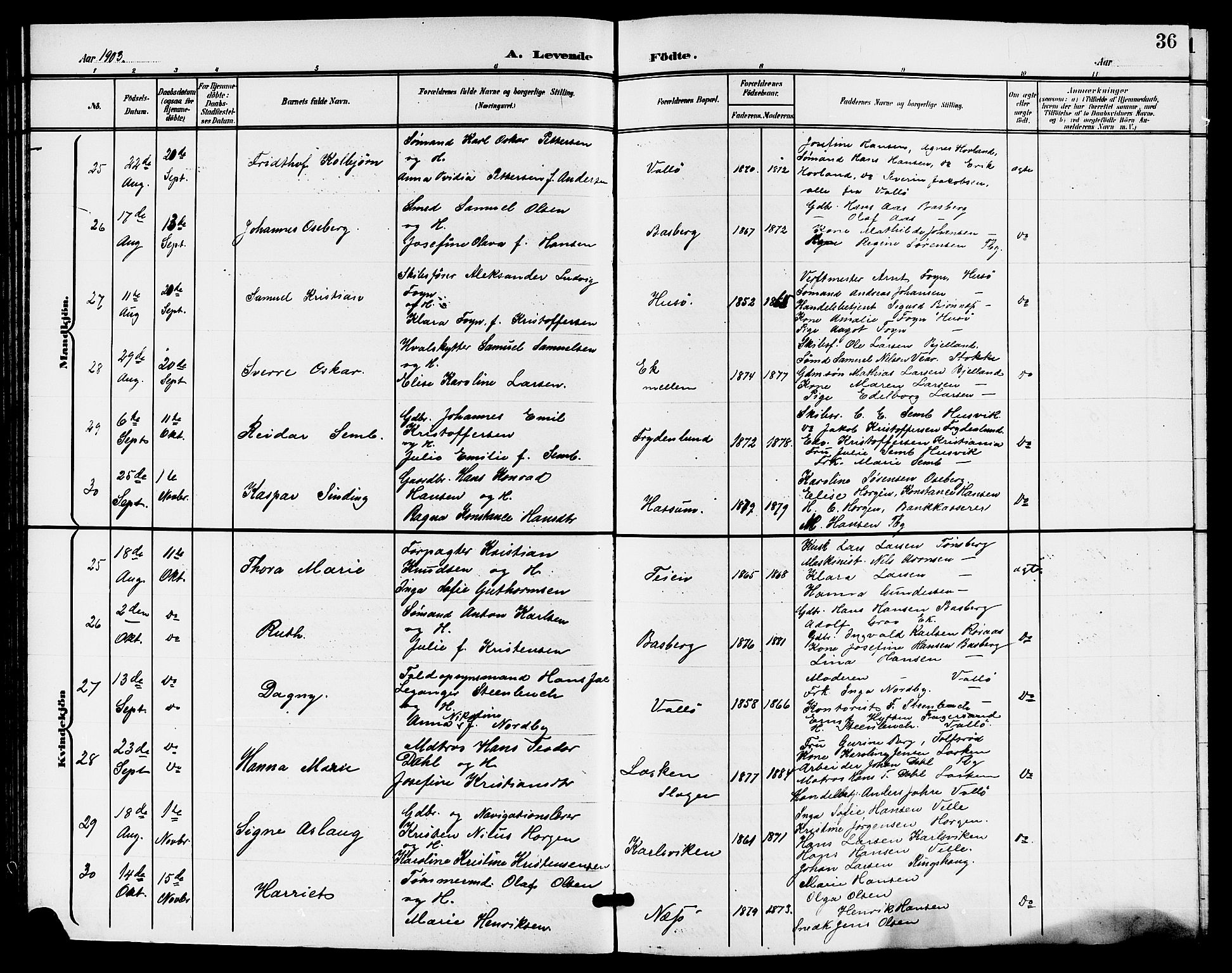 Sem kirkebøker, AV/SAKO-A-5/G/Gb/L0003: Parish register (copy) no. II 3, 1900-1913, p. 36