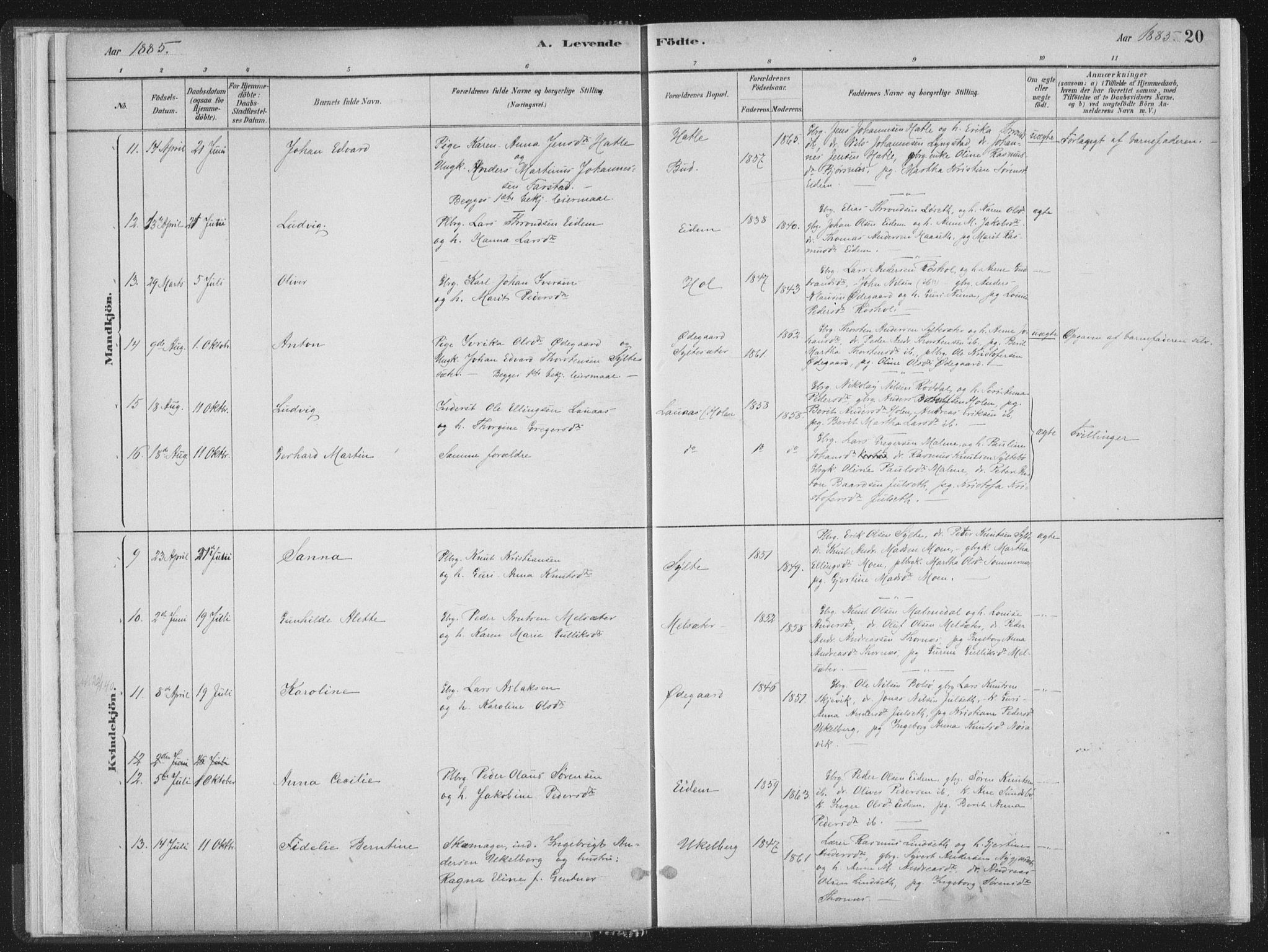 Ministerialprotokoller, klokkerbøker og fødselsregistre - Møre og Romsdal, AV/SAT-A-1454/564/L0740: Parish register (official) no. 564A01, 1880-1899, p. 20