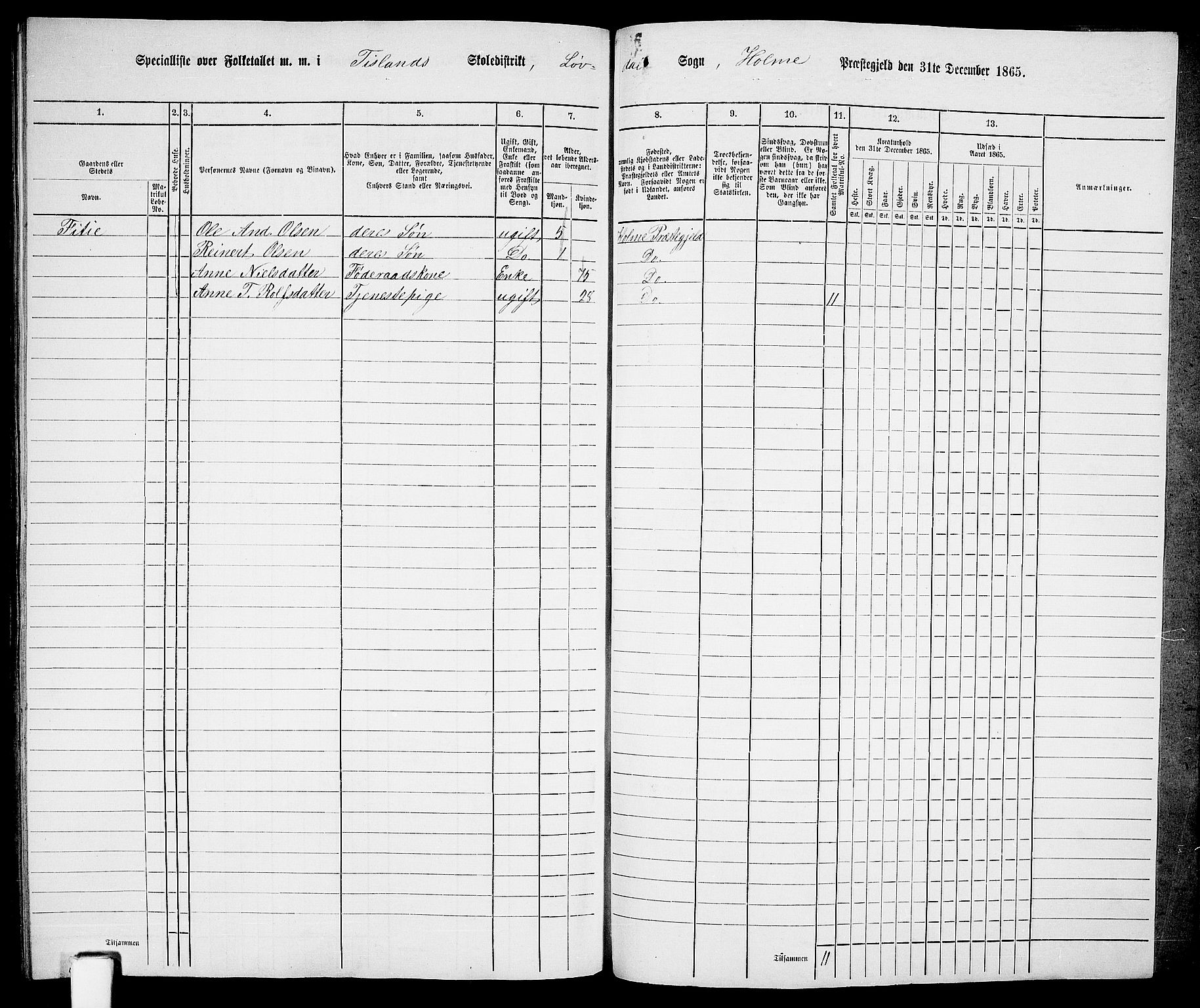 RA, 1865 census for Holum, 1865, p. 170