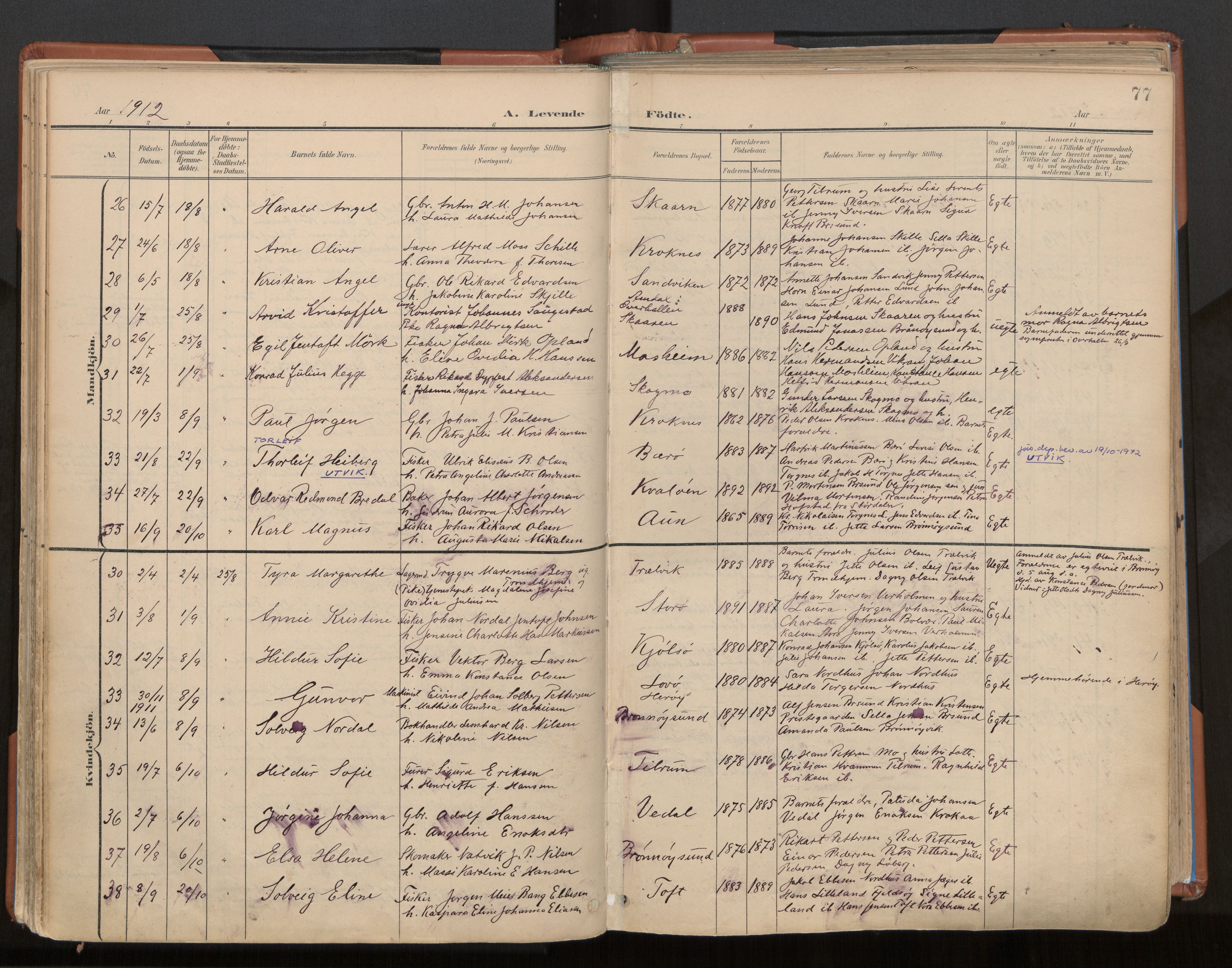 Ministerialprotokoller, klokkerbøker og fødselsregistre - Nordland, AV/SAT-A-1459/813/L0201: Parish register (official) no. 813A11, 1901-1918, p. 77