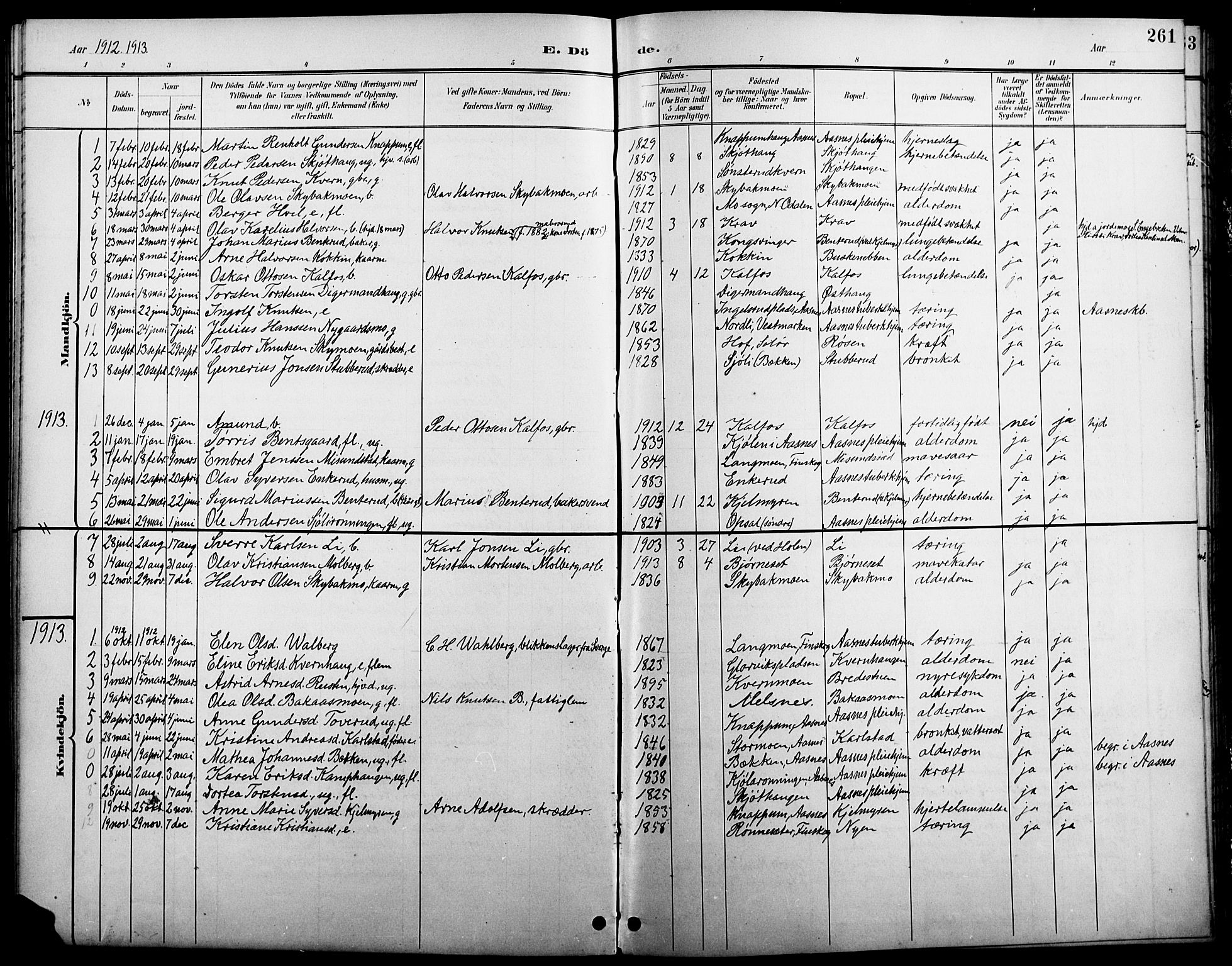 Åsnes prestekontor, SAH/PREST-042/H/Ha/Hab/L0005: Parish register (copy) no. 5, 1895-1920, p. 261