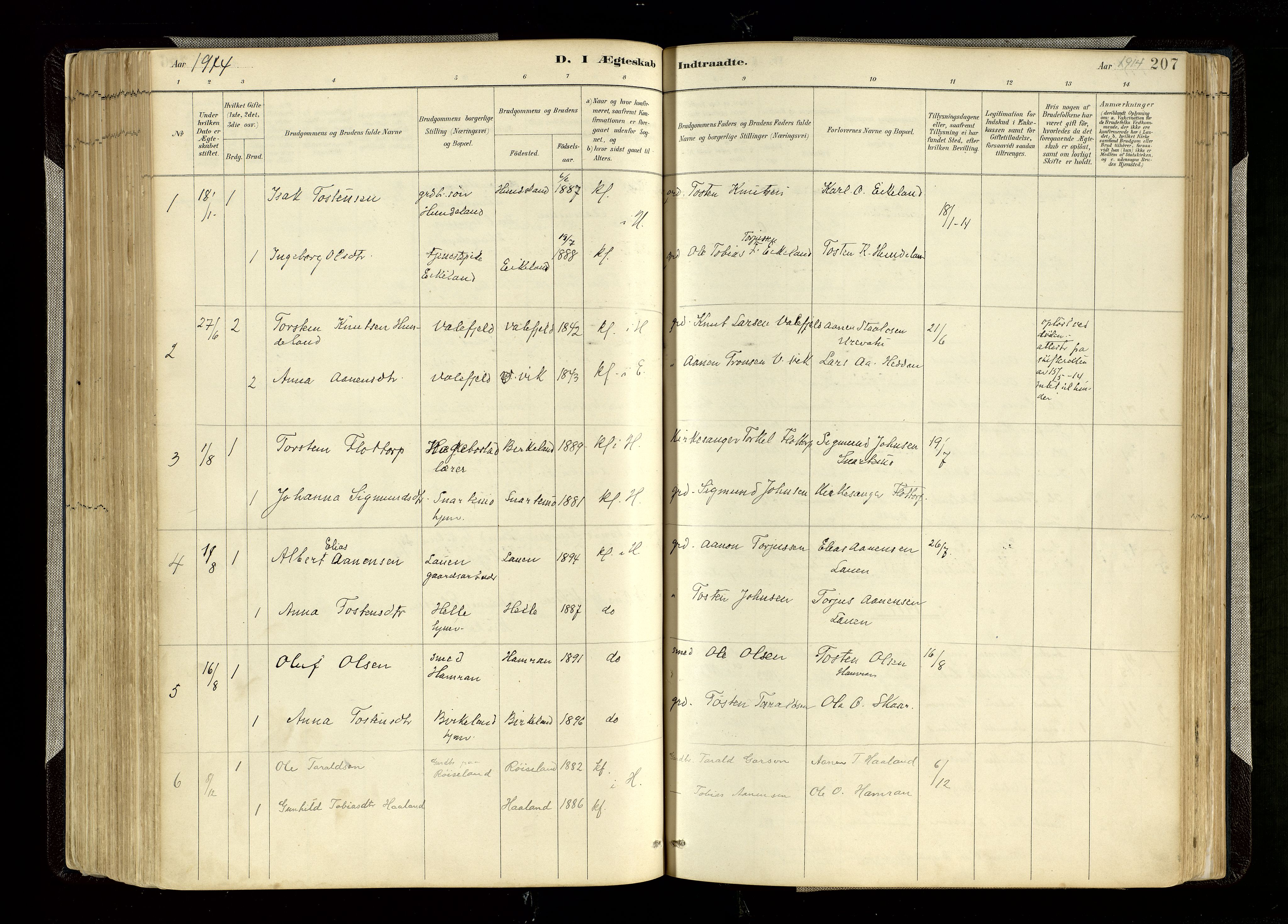 Hægebostad sokneprestkontor, SAK/1111-0024/F/Fa/Faa/L0006: Parish register (official) no. A 6, 1887-1929, p. 207