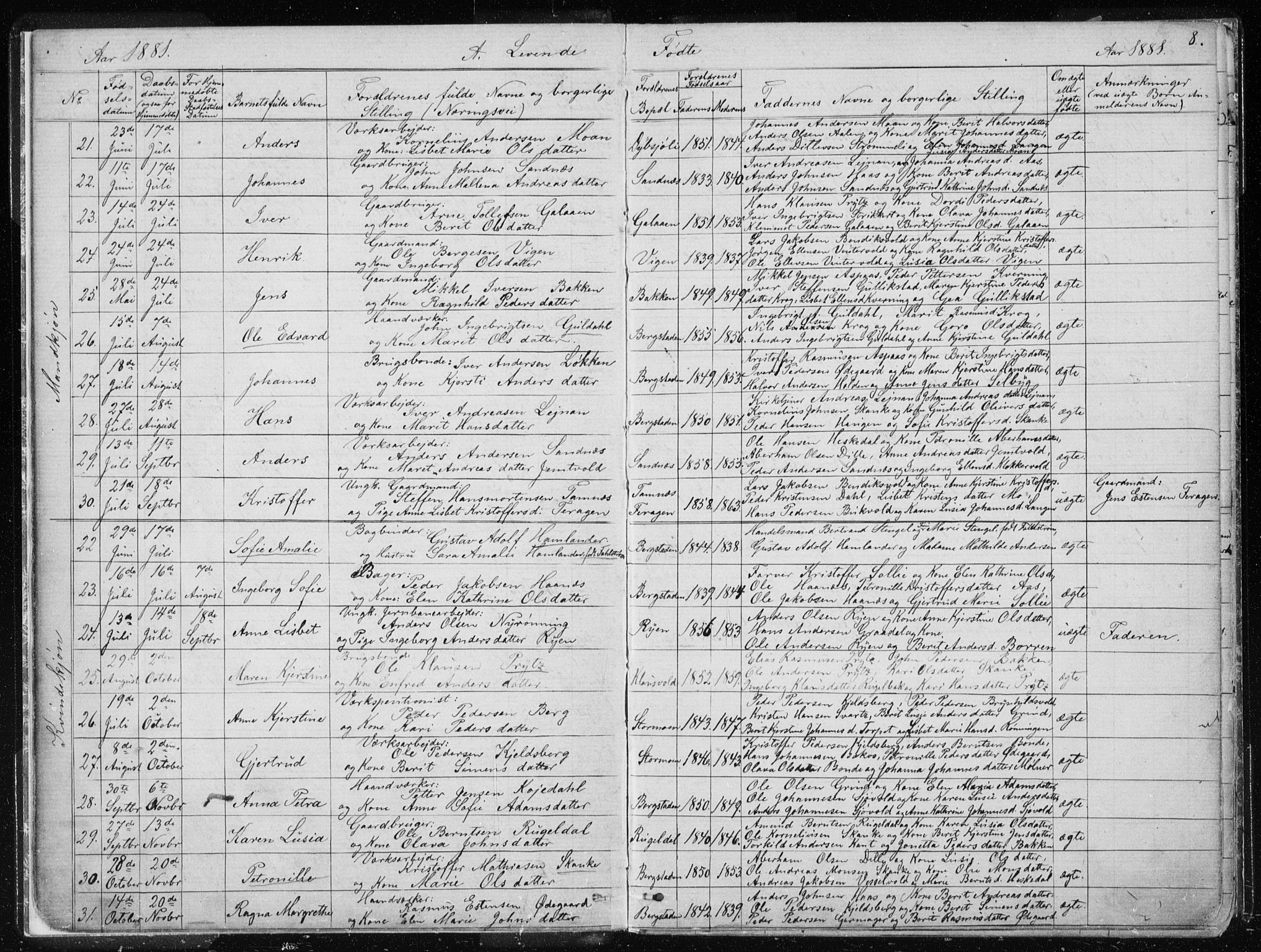 Ministerialprotokoller, klokkerbøker og fødselsregistre - Sør-Trøndelag, SAT/A-1456/681/L0940: Parish register (copy) no. 681C04, 1880-1895, p. 8