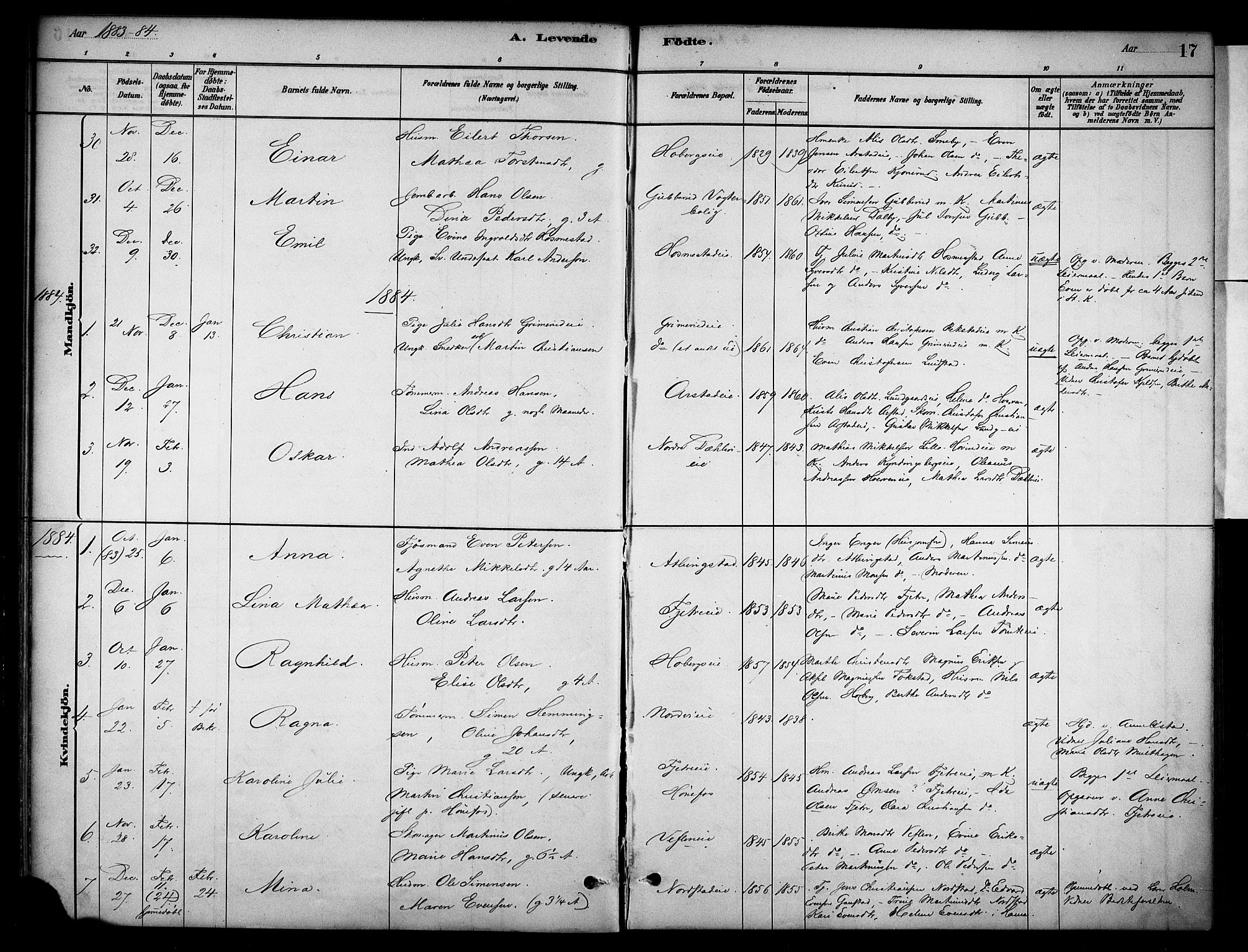 Stange prestekontor, AV/SAH-PREST-002/K/L0019: Parish register (official) no. 19, 1880-1891, p. 17