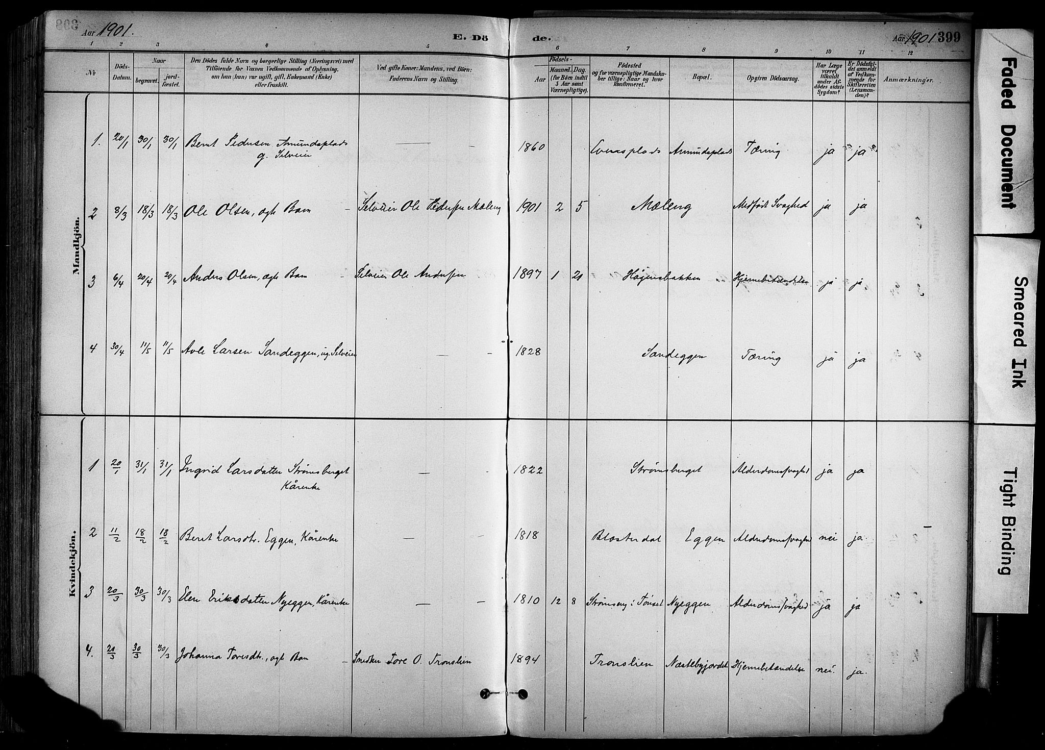 Alvdal prestekontor, SAH/PREST-060/H/Ha/Haa/L0002: Parish register (official) no. 2, 1883-1906, p. 399