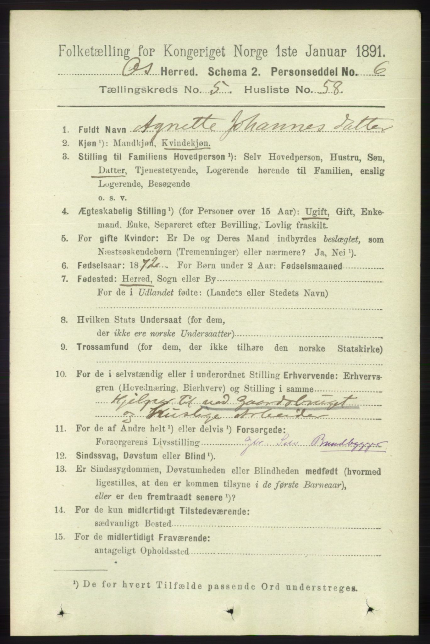 RA, 1891 census for 1243 Os, 1891, p. 1294