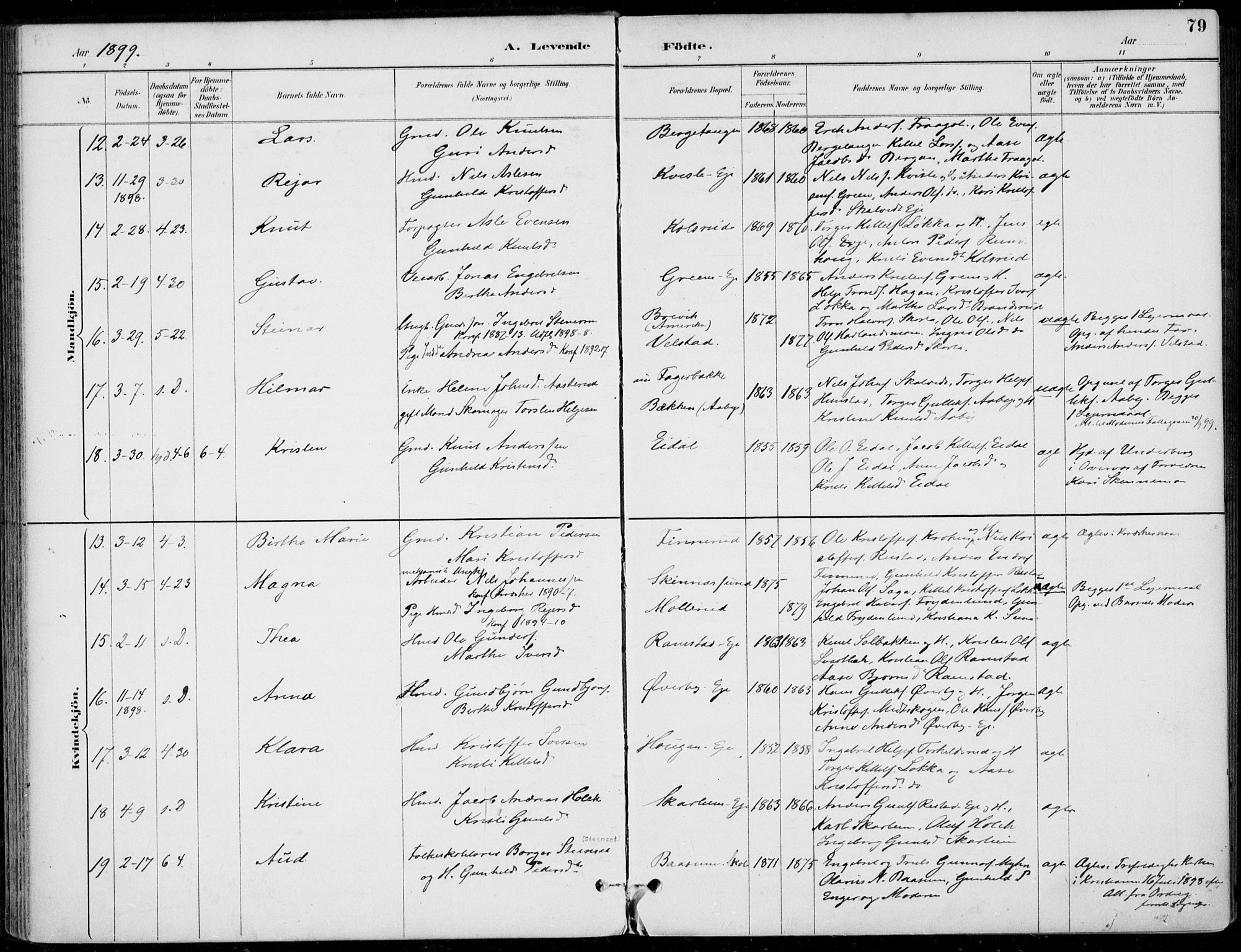 Sigdal kirkebøker, AV/SAKO-A-245/F/Fb/L0001: Parish register (official) no. II 1, 1888-1900, p. 79