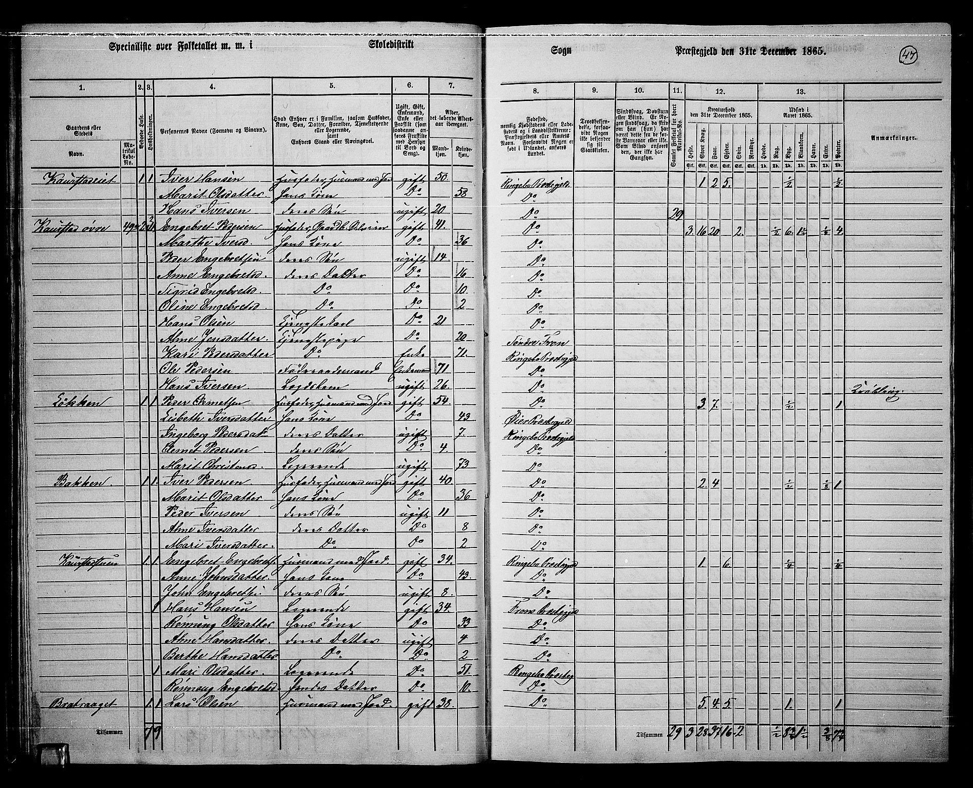 RA, 1865 census for Ringebu, 1865, p. 38