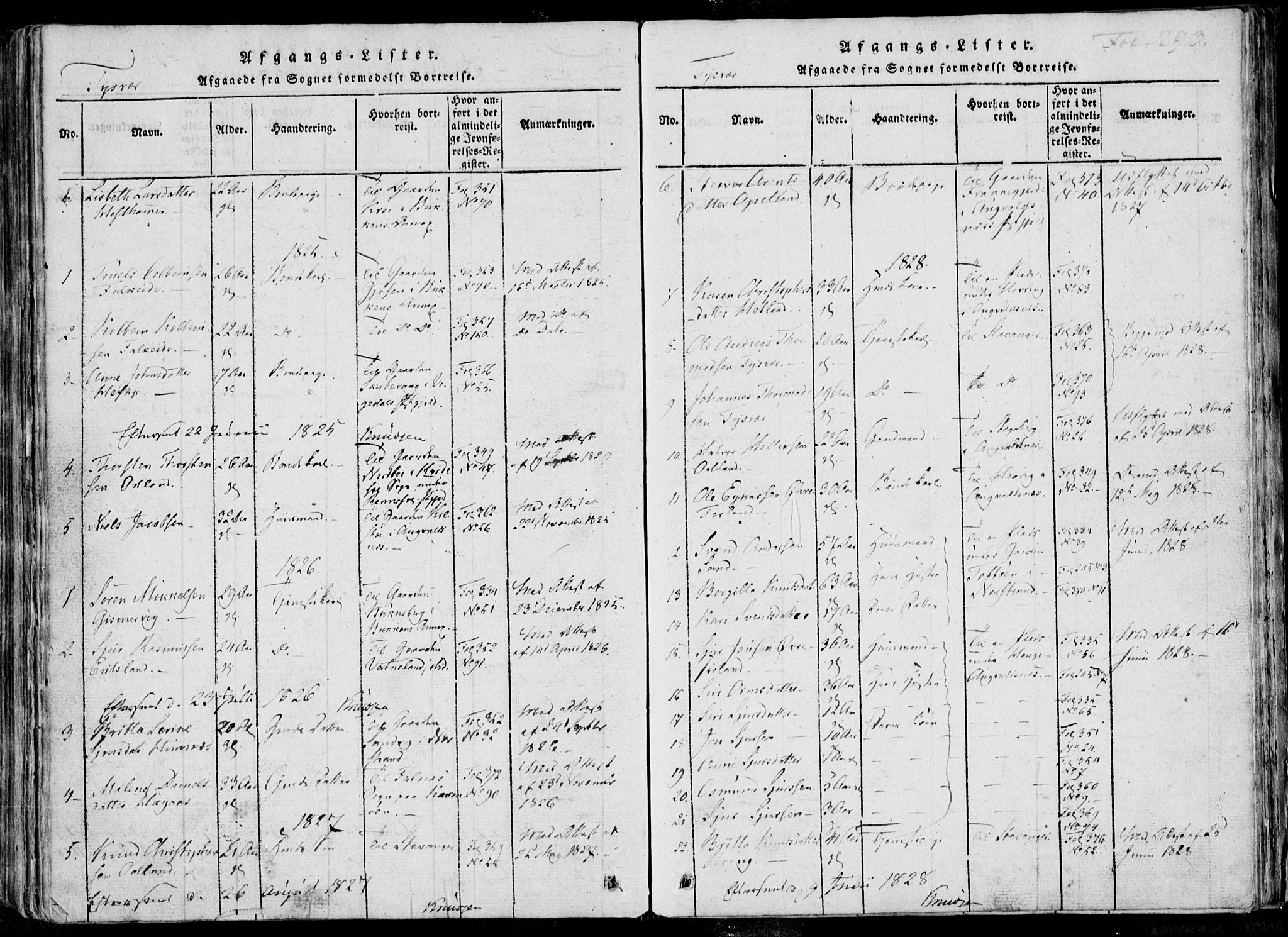 Skjold sokneprestkontor, SAST/A-101847/H/Ha/Haa/L0004: Parish register (official) no. A 4 /1, 1815-1830, p. 293