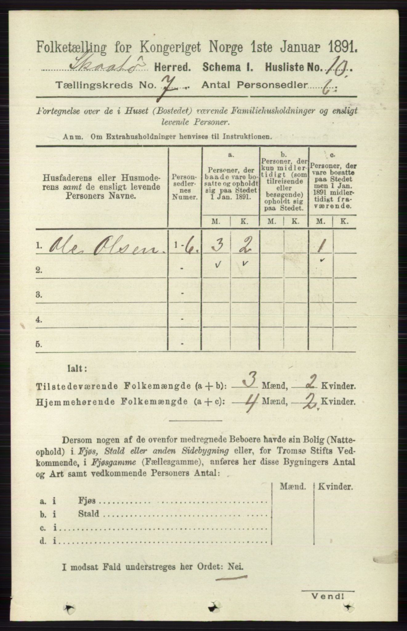 RA, 1891 census for 0815 Skåtøy, 1891, p. 3007