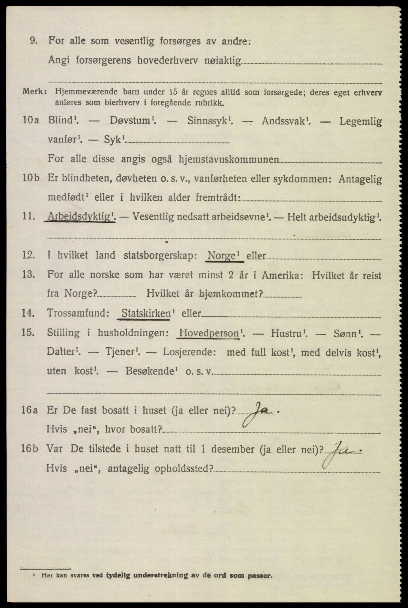 SAK, 1920 census for Holum, 1920, p. 2518