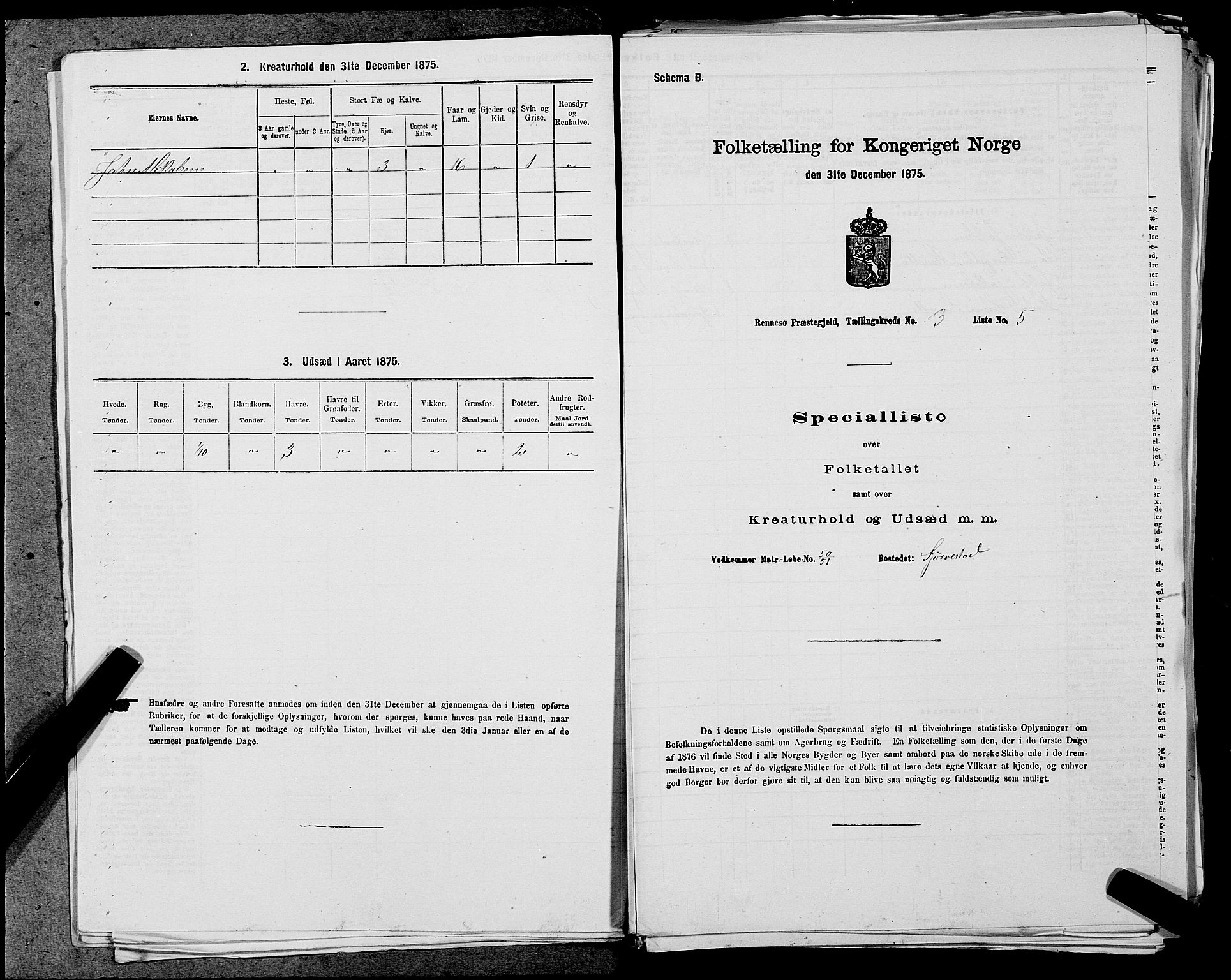 SAST, 1875 census for 1142P Rennesøy, 1875, p. 293