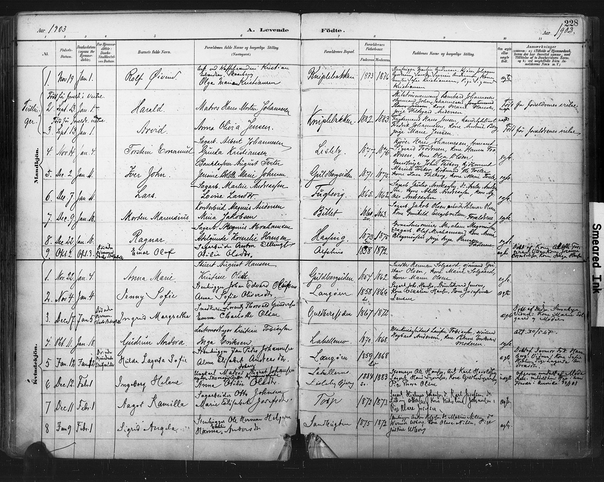 Glemmen prestekontor Kirkebøker, SAO/A-10908/F/Fa/L0013: Parish register (official) no. 13, 1892-1907, p. 228