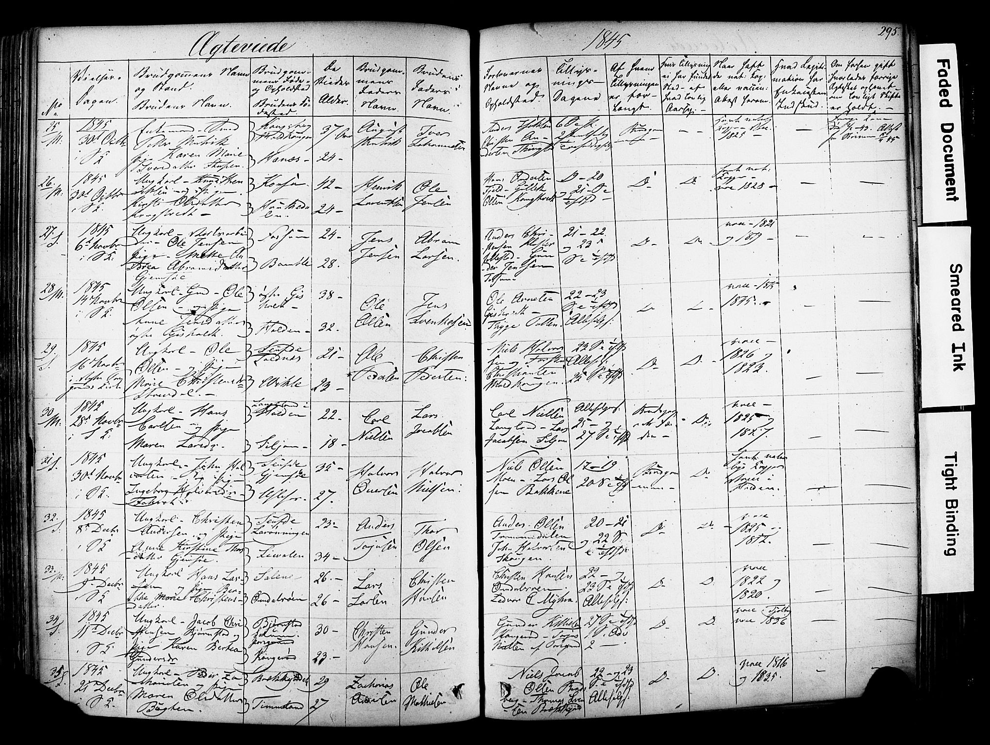 Solum kirkebøker, SAKO/A-306/F/Fa/L0006: Parish register (official) no. I 6, 1844-1855, p. 295