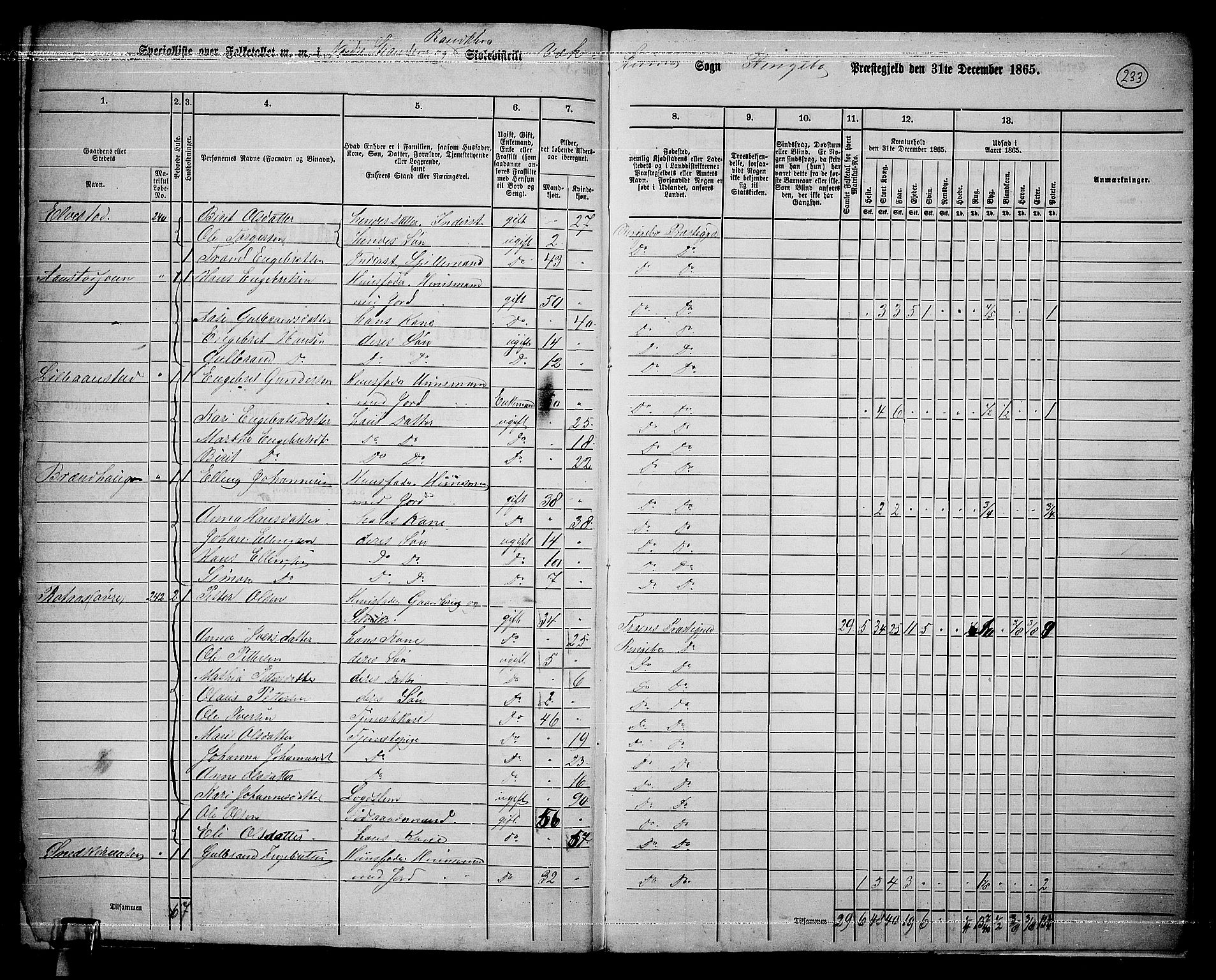 RA, 1865 census for Ringebu, 1865, p. 204