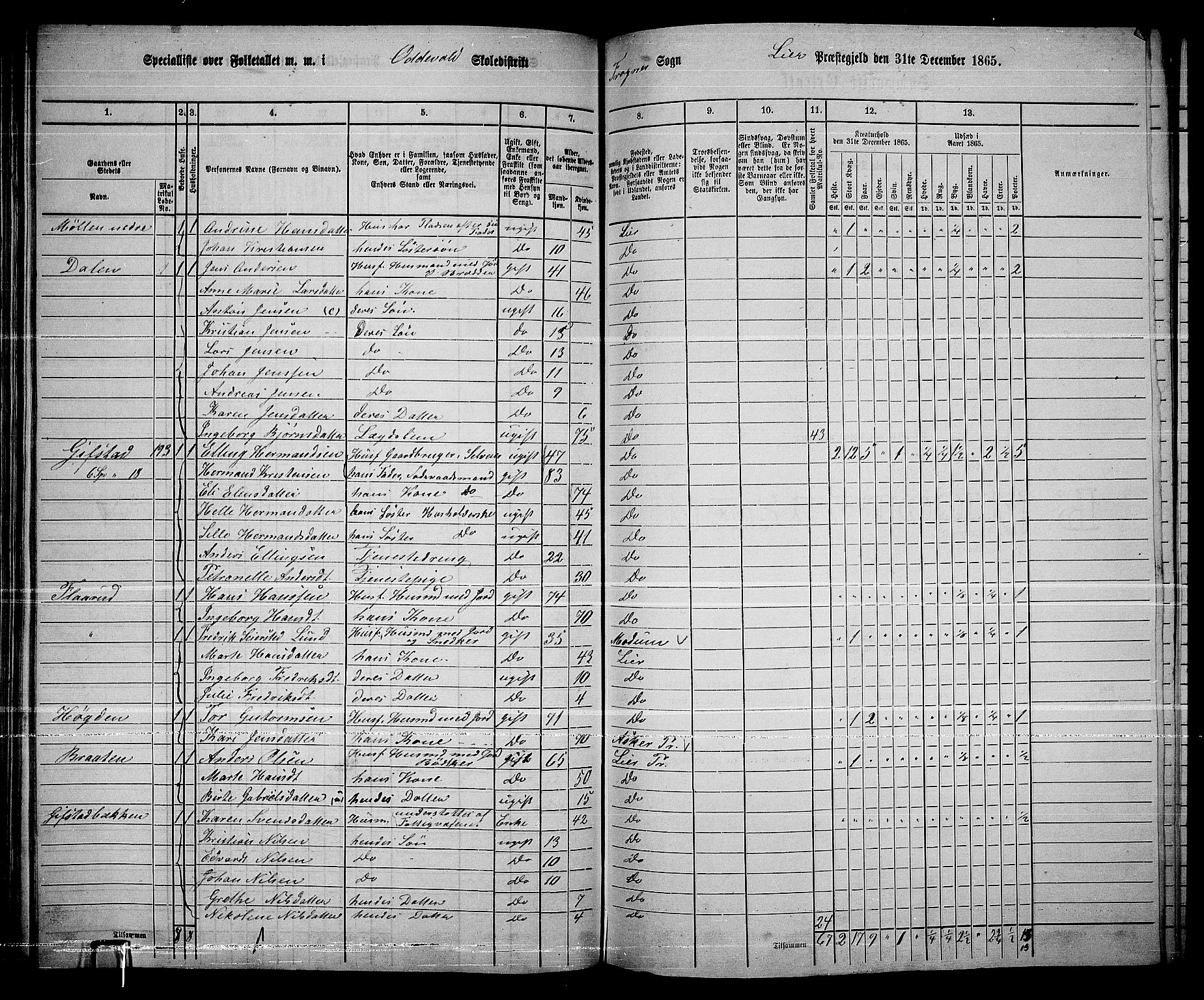 RA, 1865 census for Lier, 1865, p. 117