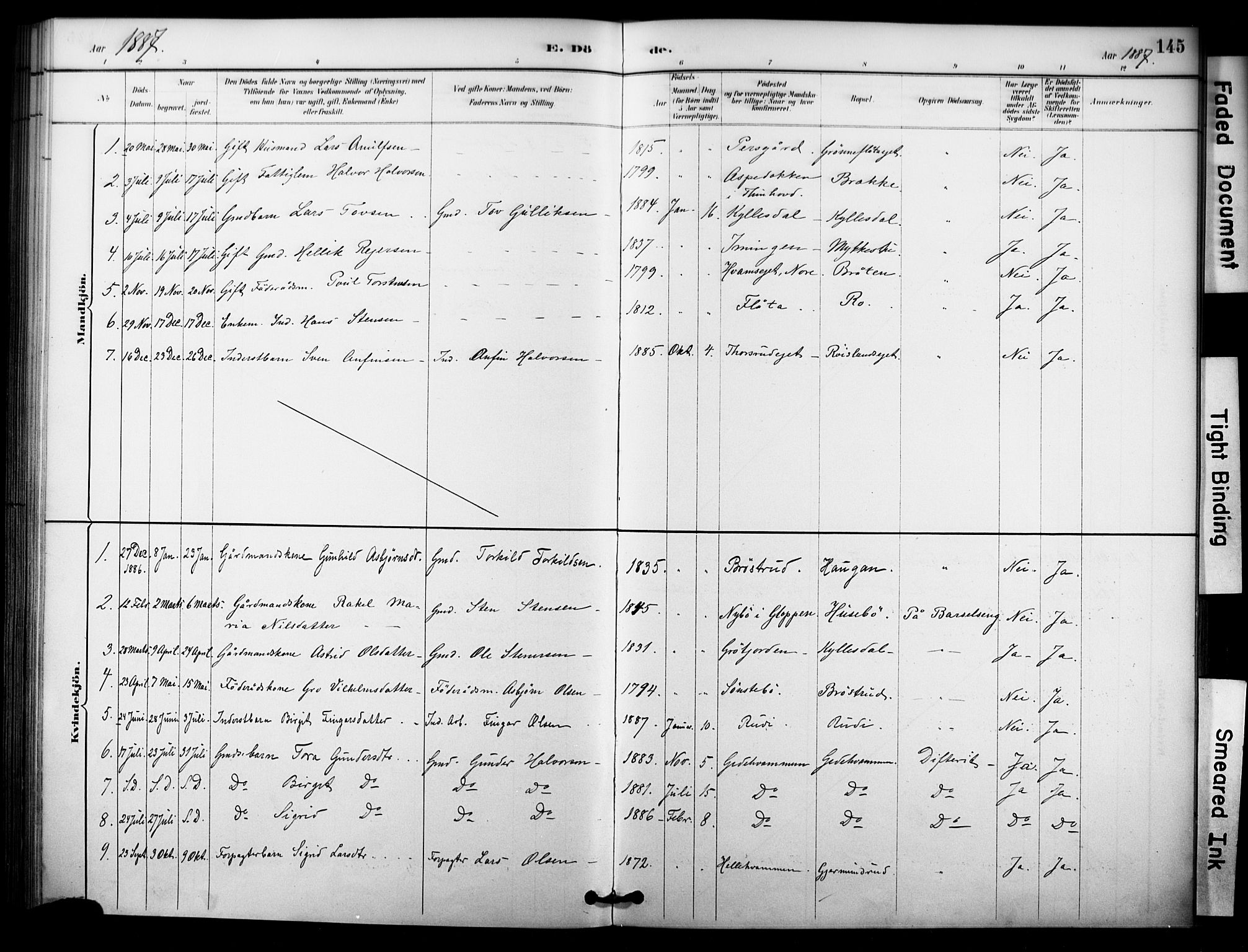 Nore kirkebøker, AV/SAKO-A-238/F/Fc/L0004: Parish register (official) no. III 4, 1885-1898, p. 145