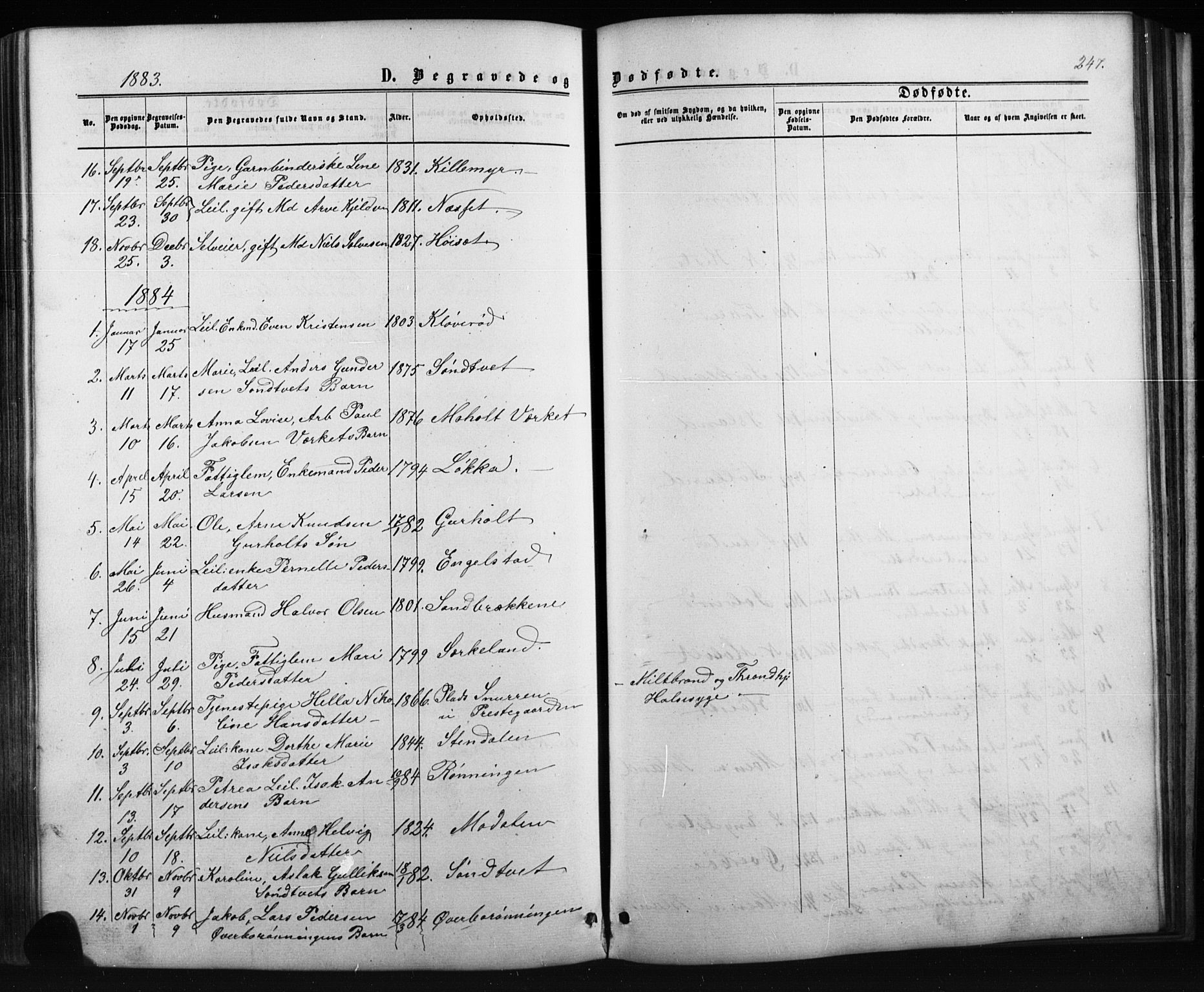 Siljan kirkebøker, SAKO/A-300/G/Ga/L0002: Parish register (copy) no. 2, 1864-1908, p. 247