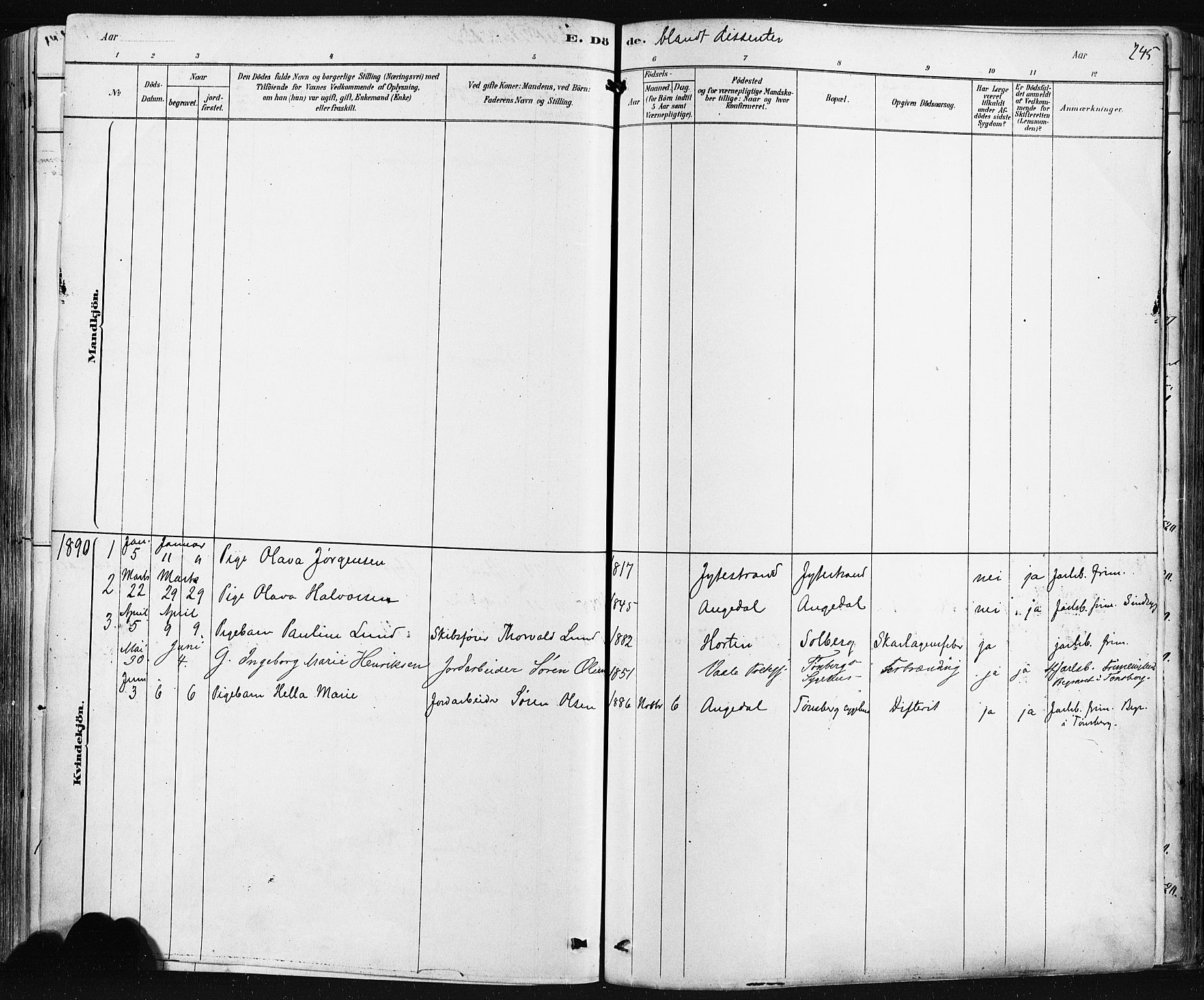 Borre kirkebøker, SAKO/A-338/F/Fa/L0009: Parish register (official) no. I 9, 1878-1896, p. 245