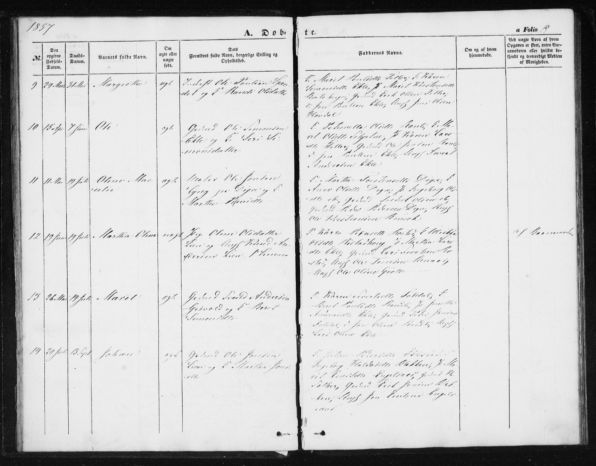 SAT, Ministerialprotokoller, klokkerbøker og fødselsregistre - Sør-Trøndelag, SAT/A-1456/608/L0332Parish register (official) no. 608A01, 1848-1861, p. 19