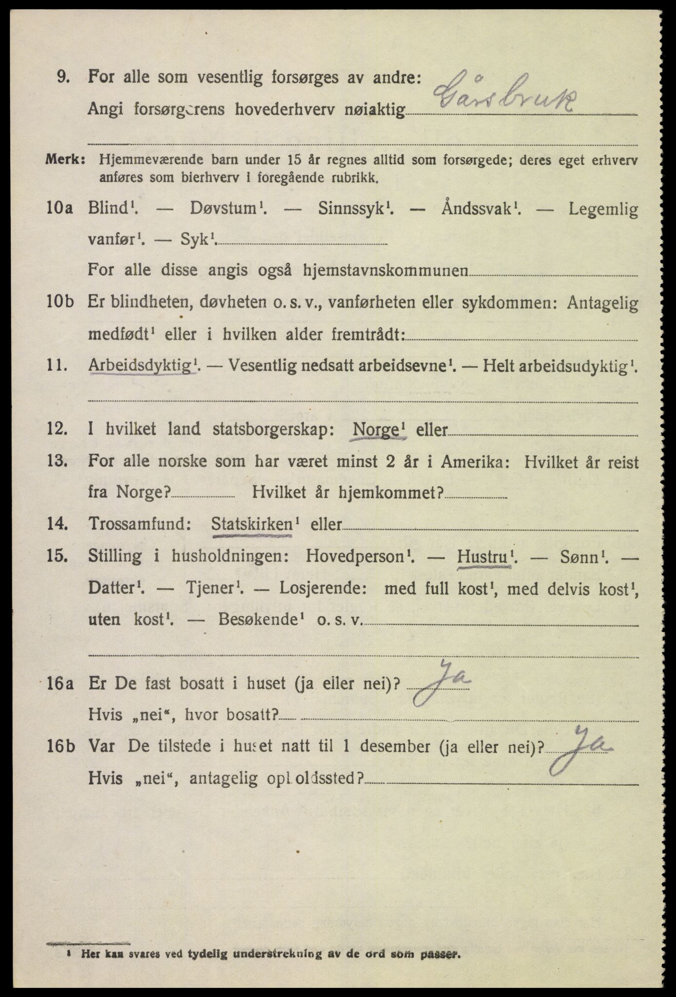 SAH, 1920 census for Biri, 1920, p. 2028