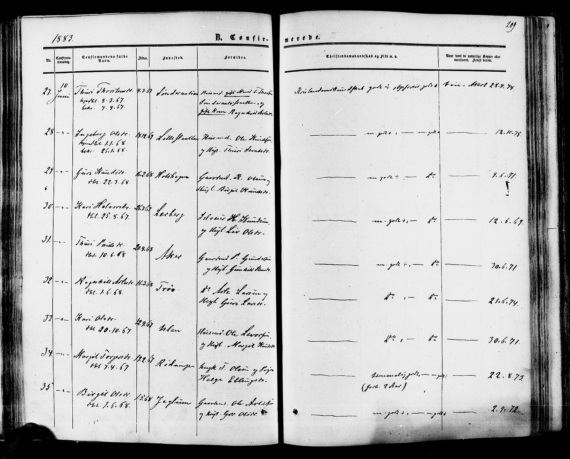 Hol kirkebøker, SAKO/A-227/F/Fa/L0002: Parish register (official) no. I 2, 1870-1886, p. 209