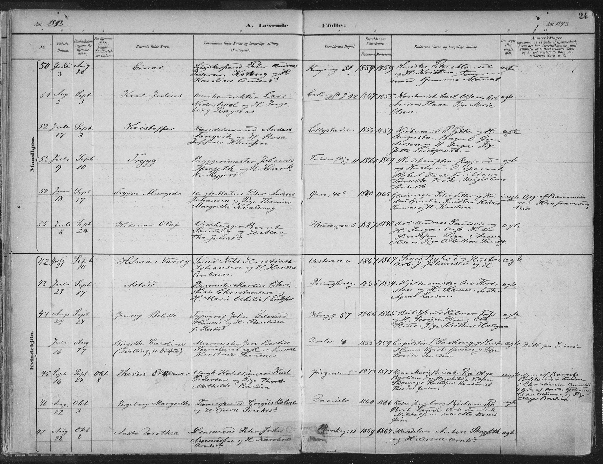 Ministerialprotokoller, klokkerbøker og fødselsregistre - Sør-Trøndelag, AV/SAT-A-1456/601/L0062: Parish register (official) no. 601A30, 1891-1911, p. 24