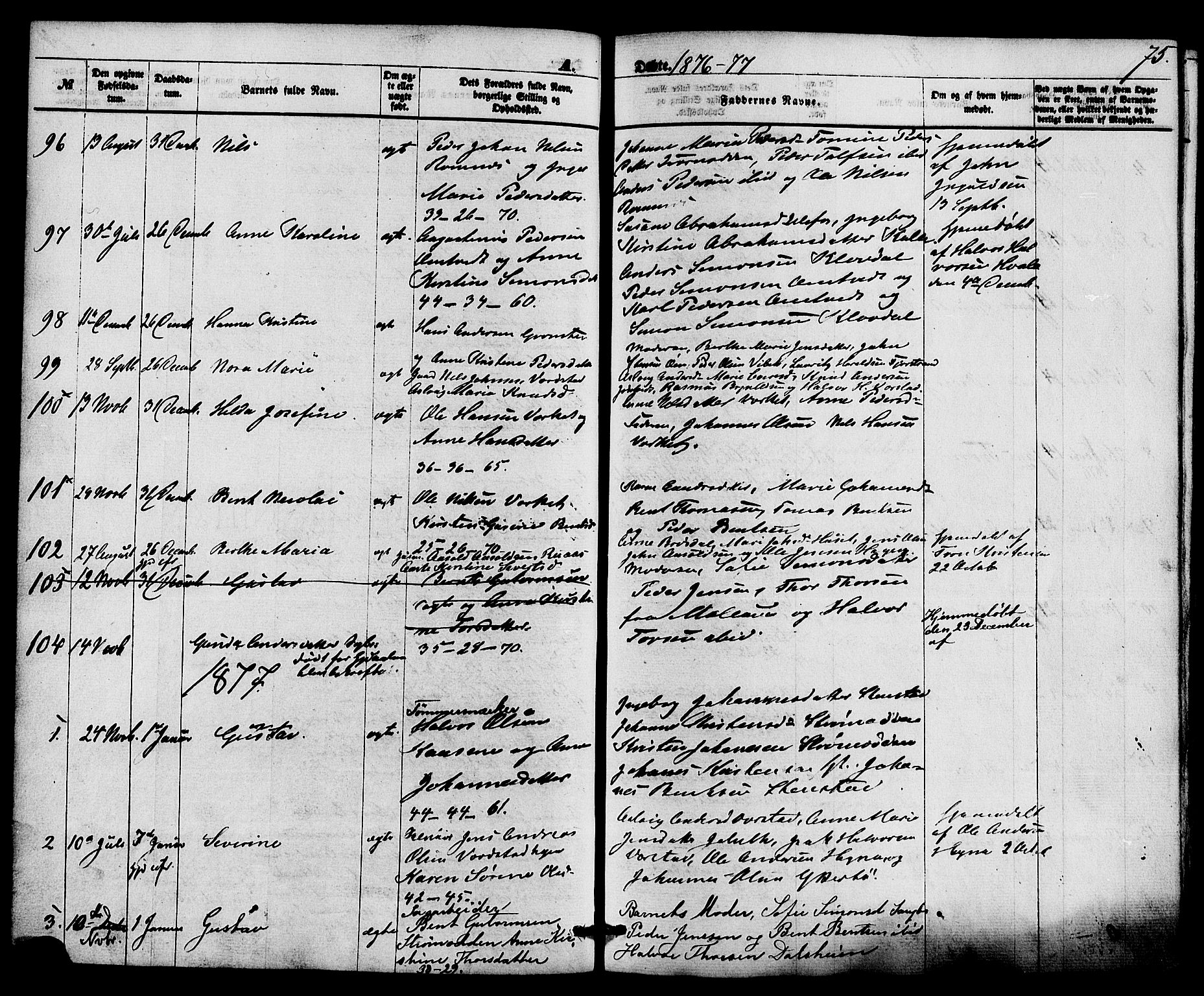 Holla kirkebøker, SAKO/A-272/F/Fa/L0007: Parish register (official) no. 7, 1869-1881, p. 75