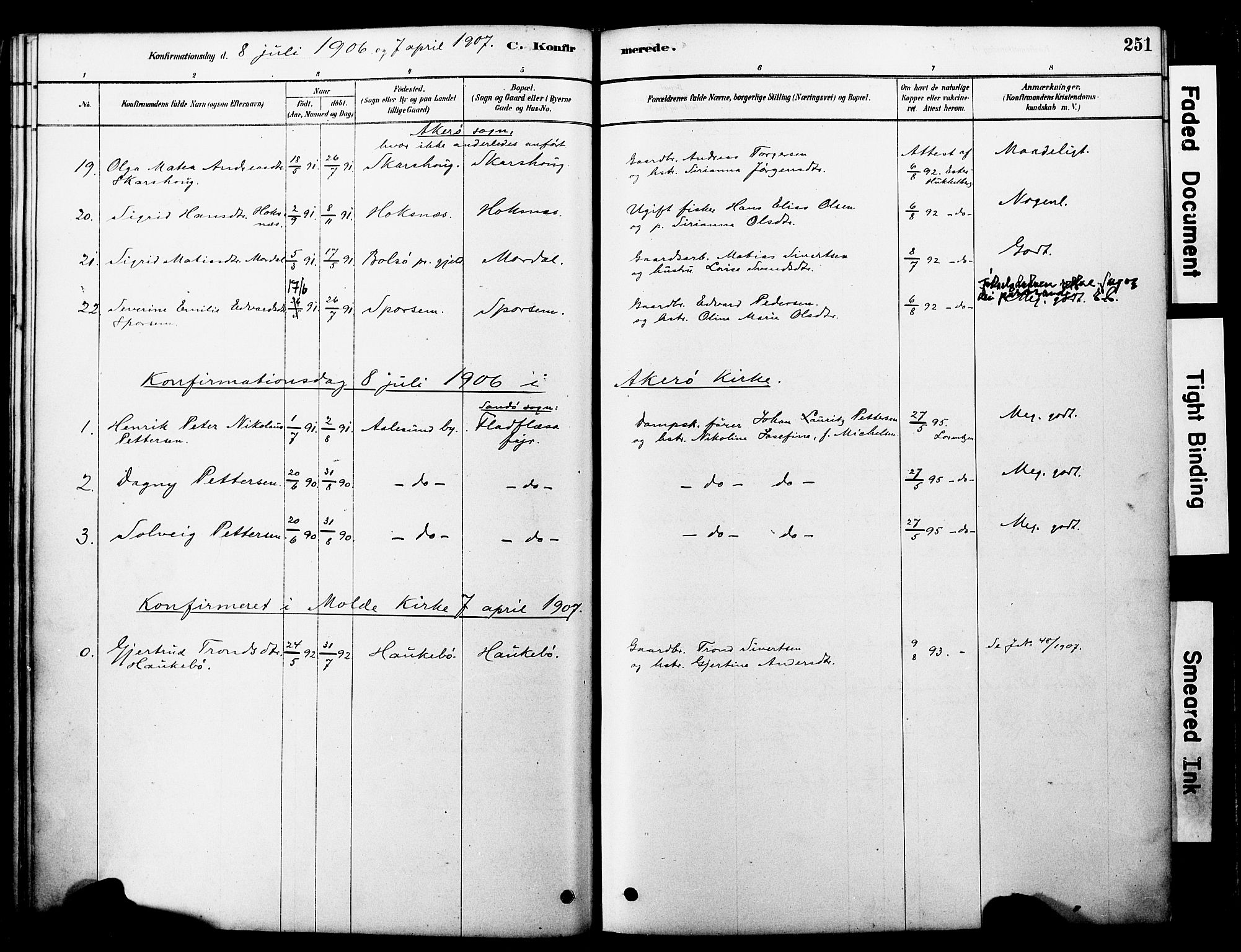 Ministerialprotokoller, klokkerbøker og fødselsregistre - Møre og Romsdal, AV/SAT-A-1454/560/L0721: Parish register (official) no. 560A05, 1878-1917, p. 251