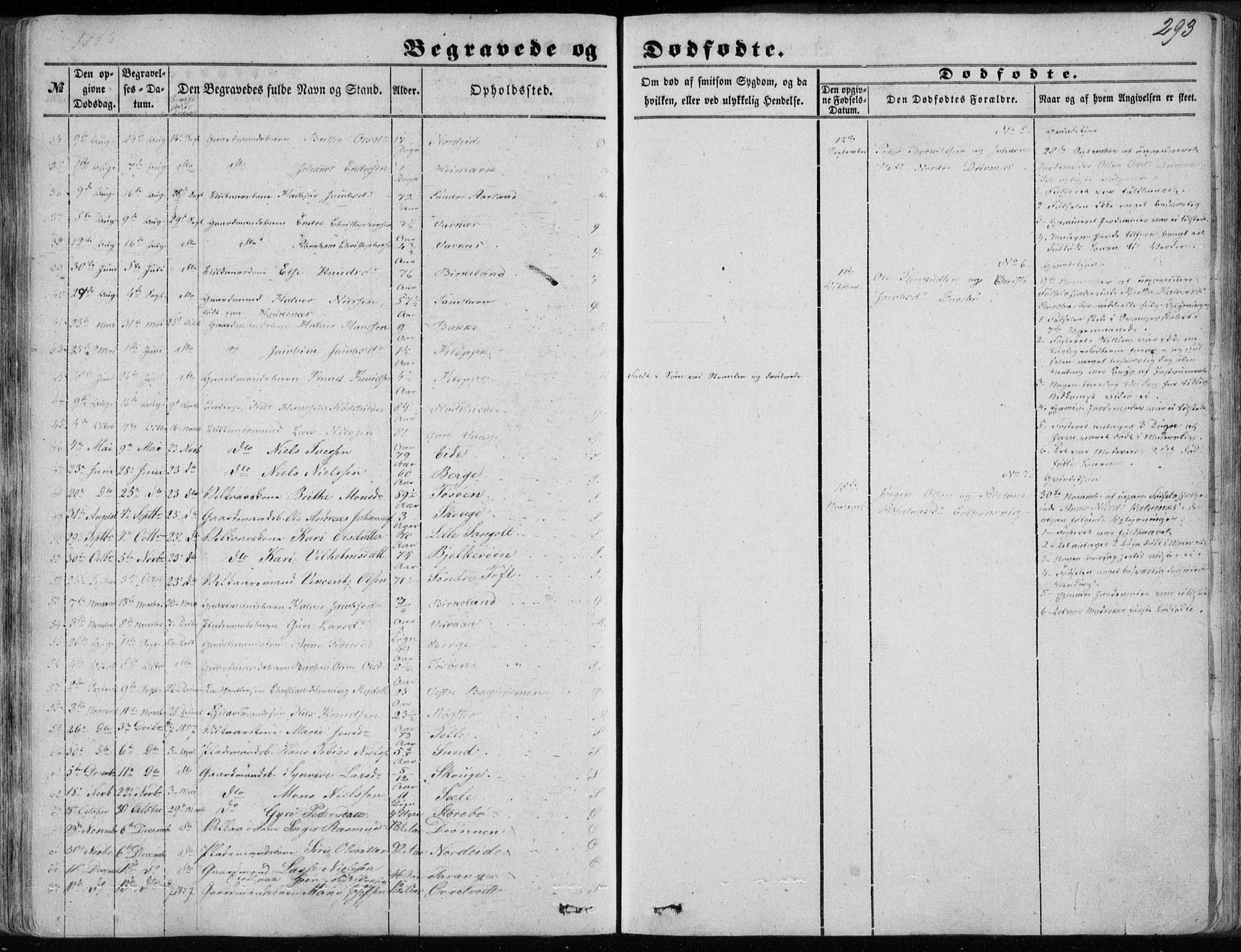 Sund sokneprestembete, SAB/A-99930: Parish register (official) no. A 14, 1850-1866, p. 293