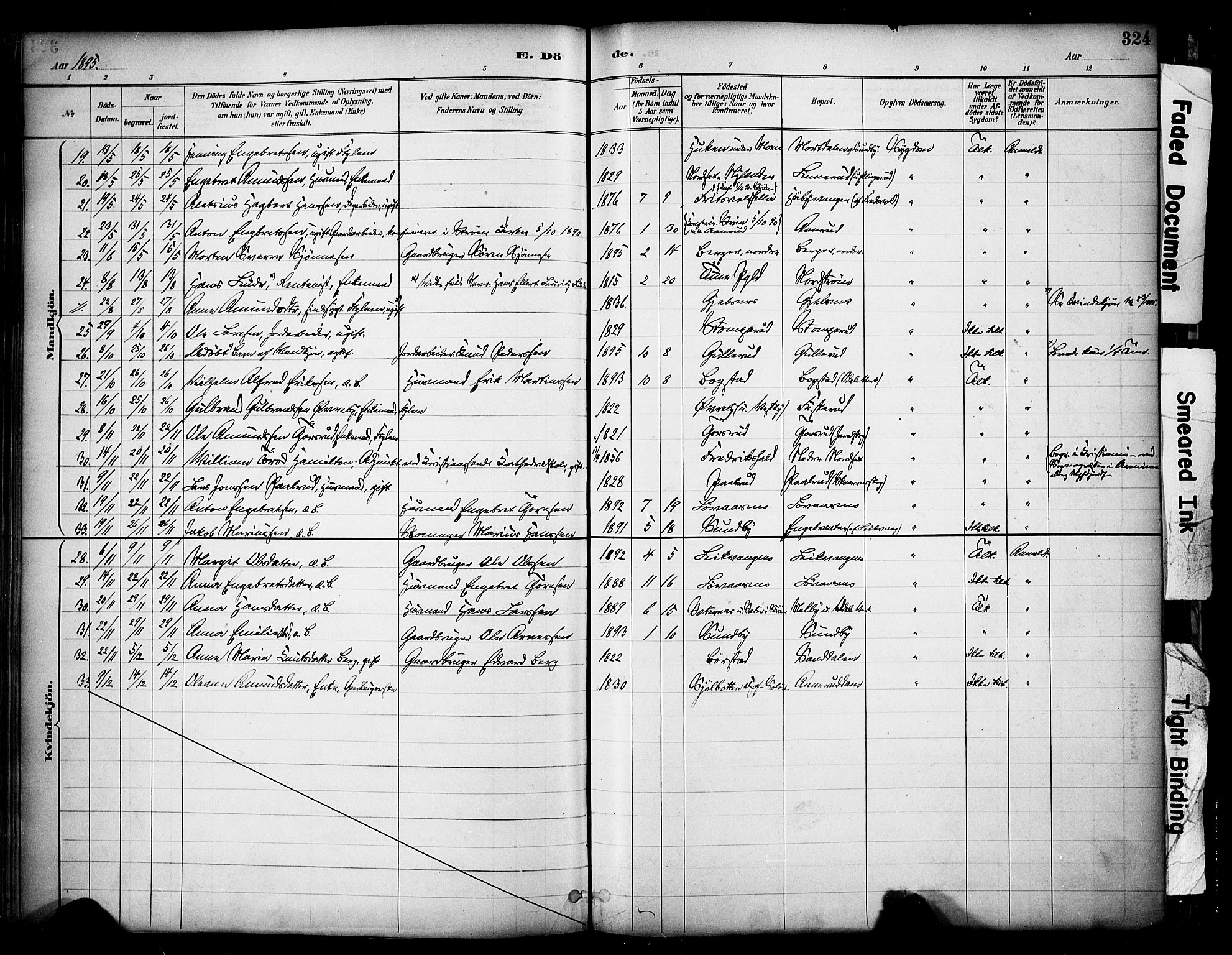 Sør-Odal prestekontor, SAH/PREST-030/H/Ha/Haa/L0007: Parish register (official) no. 7, 1886-1925, p. 324