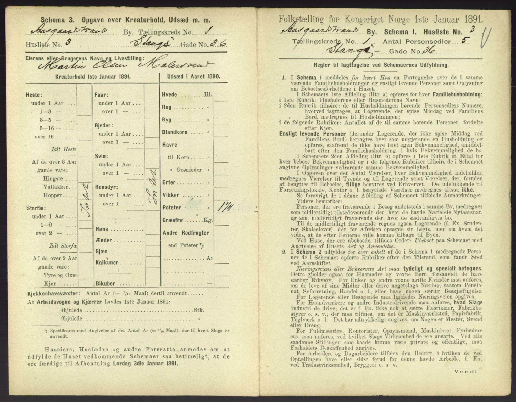 RA, 1891 census for 0704 Åsgårdstrand, 1891, p. 17