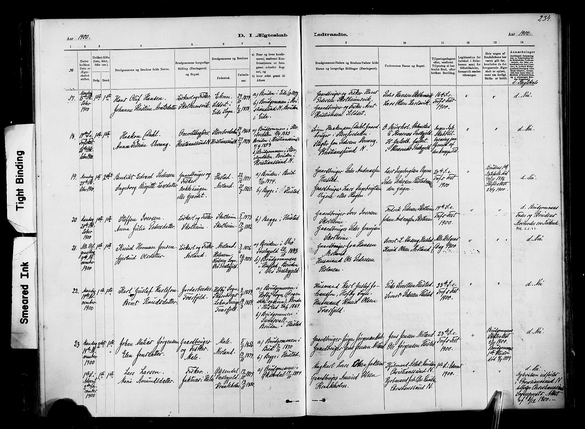 Ministerialprotokoller, klokkerbøker og fødselsregistre - Møre og Romsdal, AV/SAT-A-1454/567/L0778: Parish register (official) no. 567A01, 1881-1903, p. 234