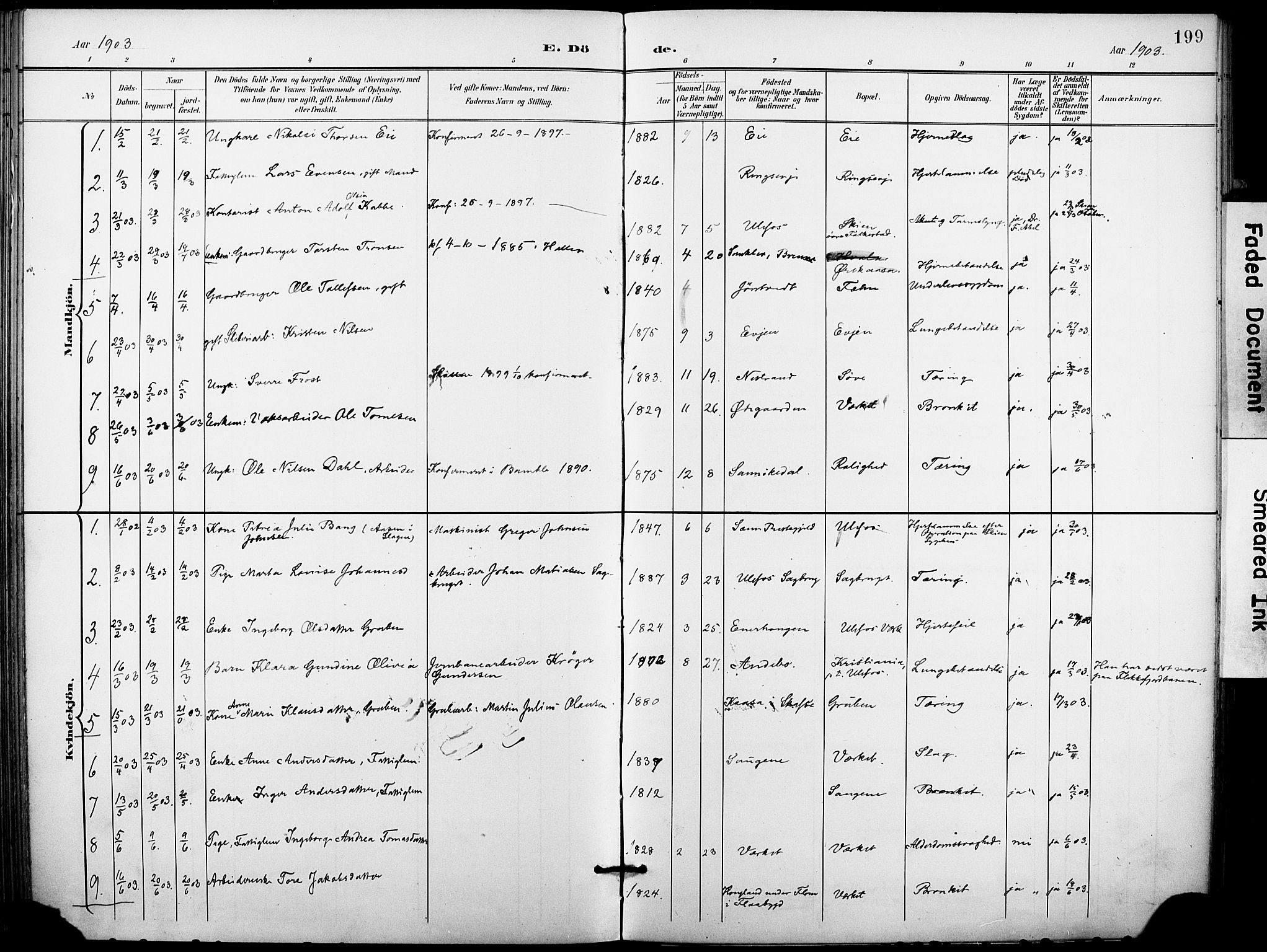 Holla kirkebøker, SAKO/A-272/F/Fa/L0010: Parish register (official) no. 10, 1897-1907, p. 199