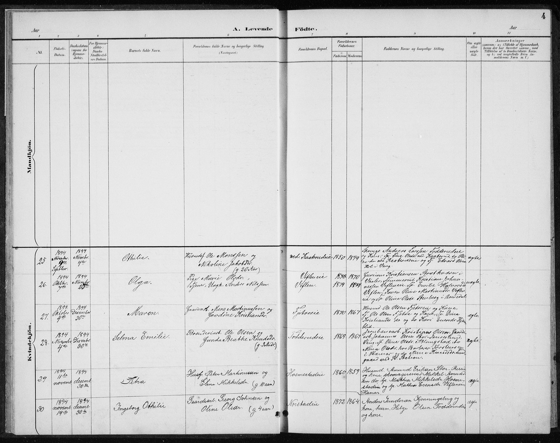 Stange prestekontor, AV/SAH-PREST-002/L/L0010: Parish register (copy) no. 10, 1894-1905, p. 4