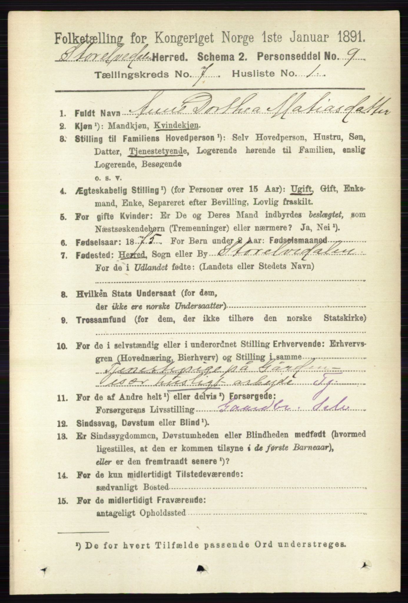 RA, 1891 census for 0430 Stor-Elvdal, 1891, p. 2656