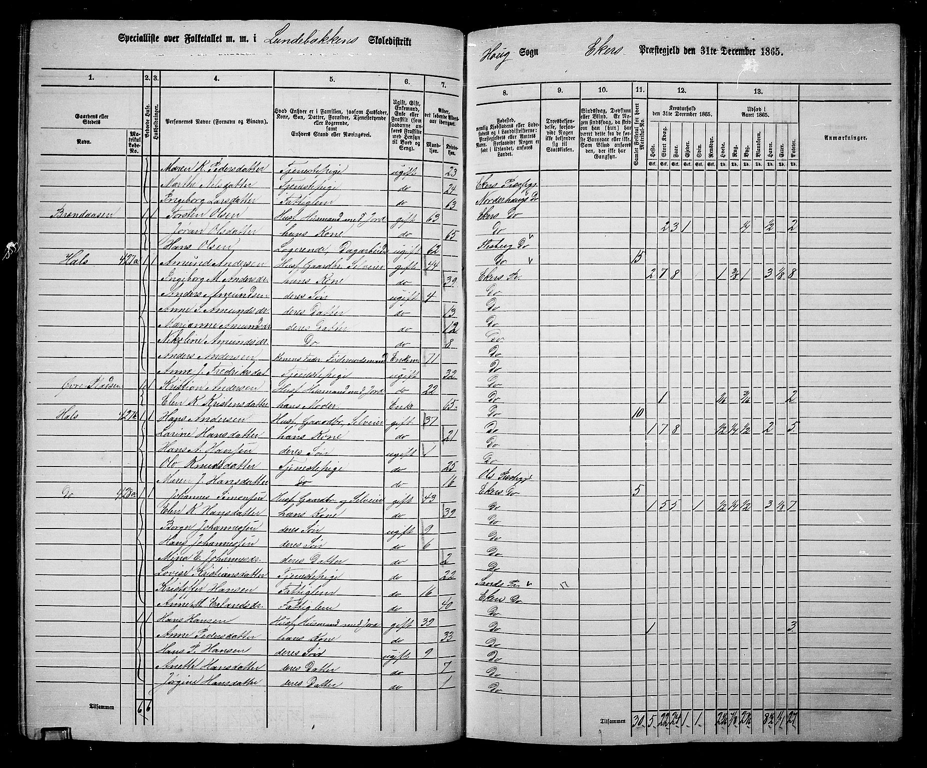 RA, 1865 census for Eiker, 1865, p. 100