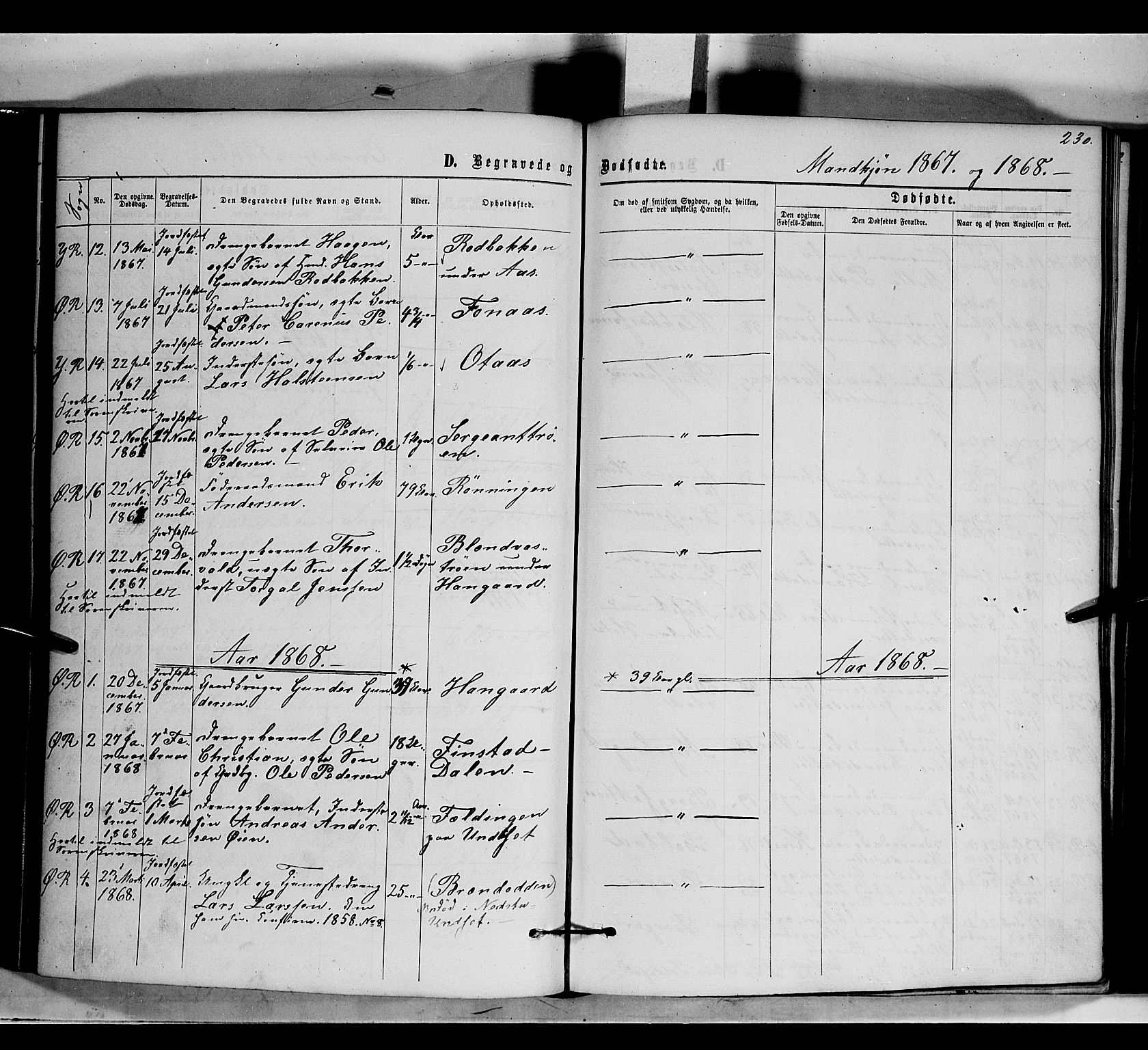 Rendalen prestekontor, SAH/PREST-054/H/Ha/Haa/L0006: Parish register (official) no. 6, 1867-1877, p. 230