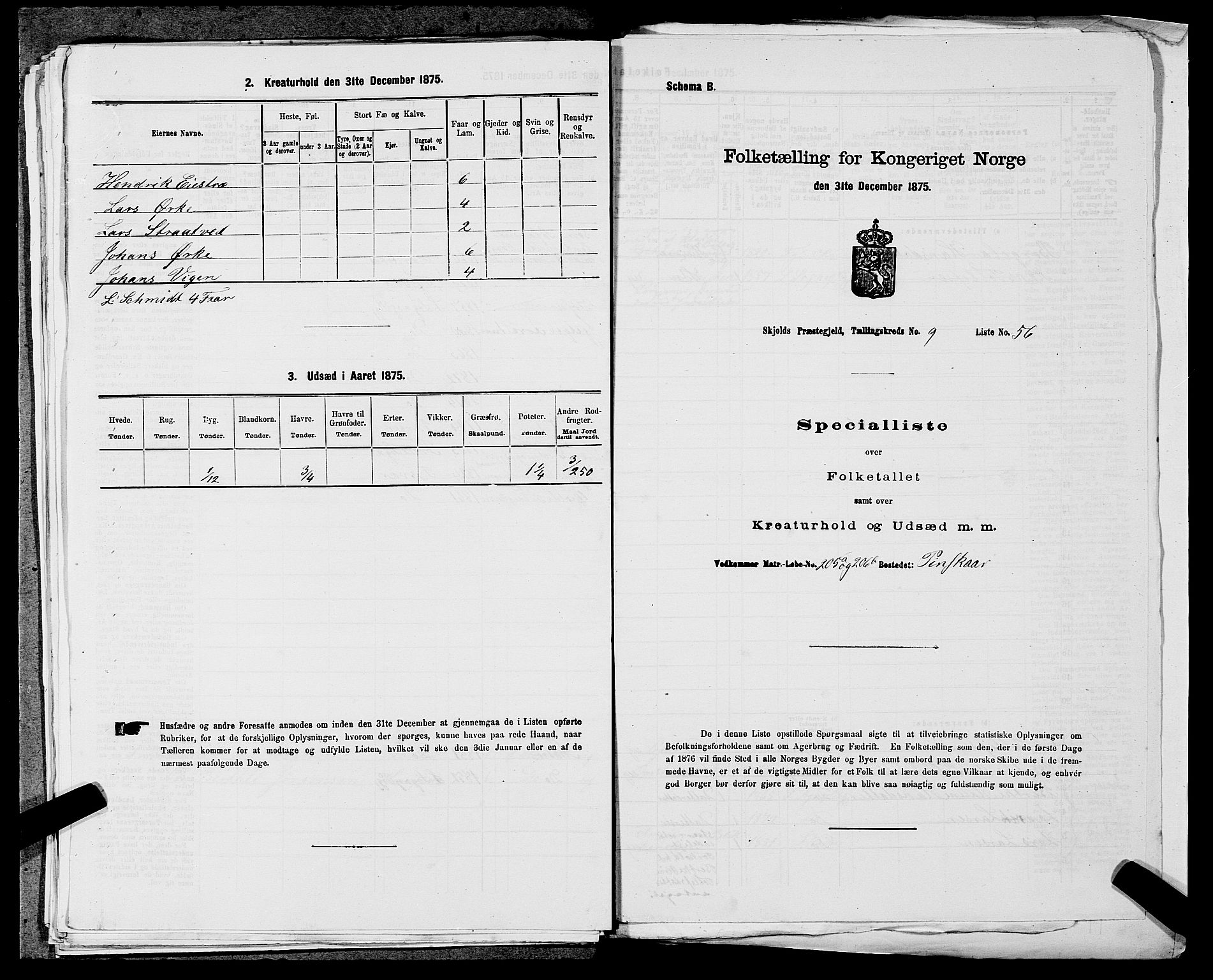 SAST, 1875 census for 1154P Skjold, 1875, p. 948