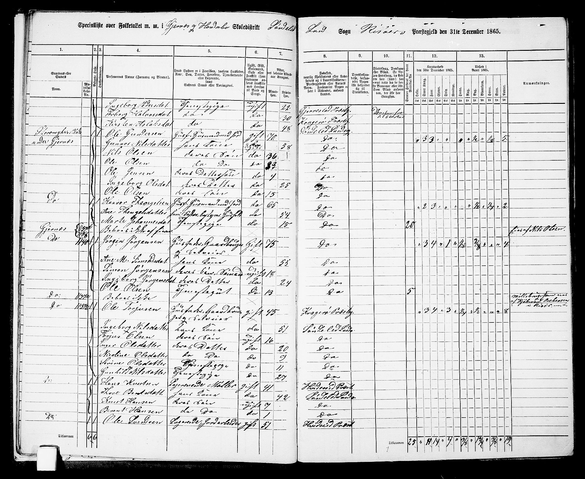 RA, 1865 census for Risør/Søndeled, 1865, p. 13