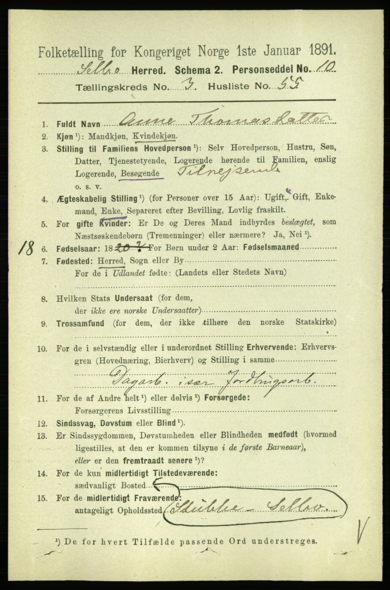 RA, 1891 census for 1664 Selbu, 1891, p. 954