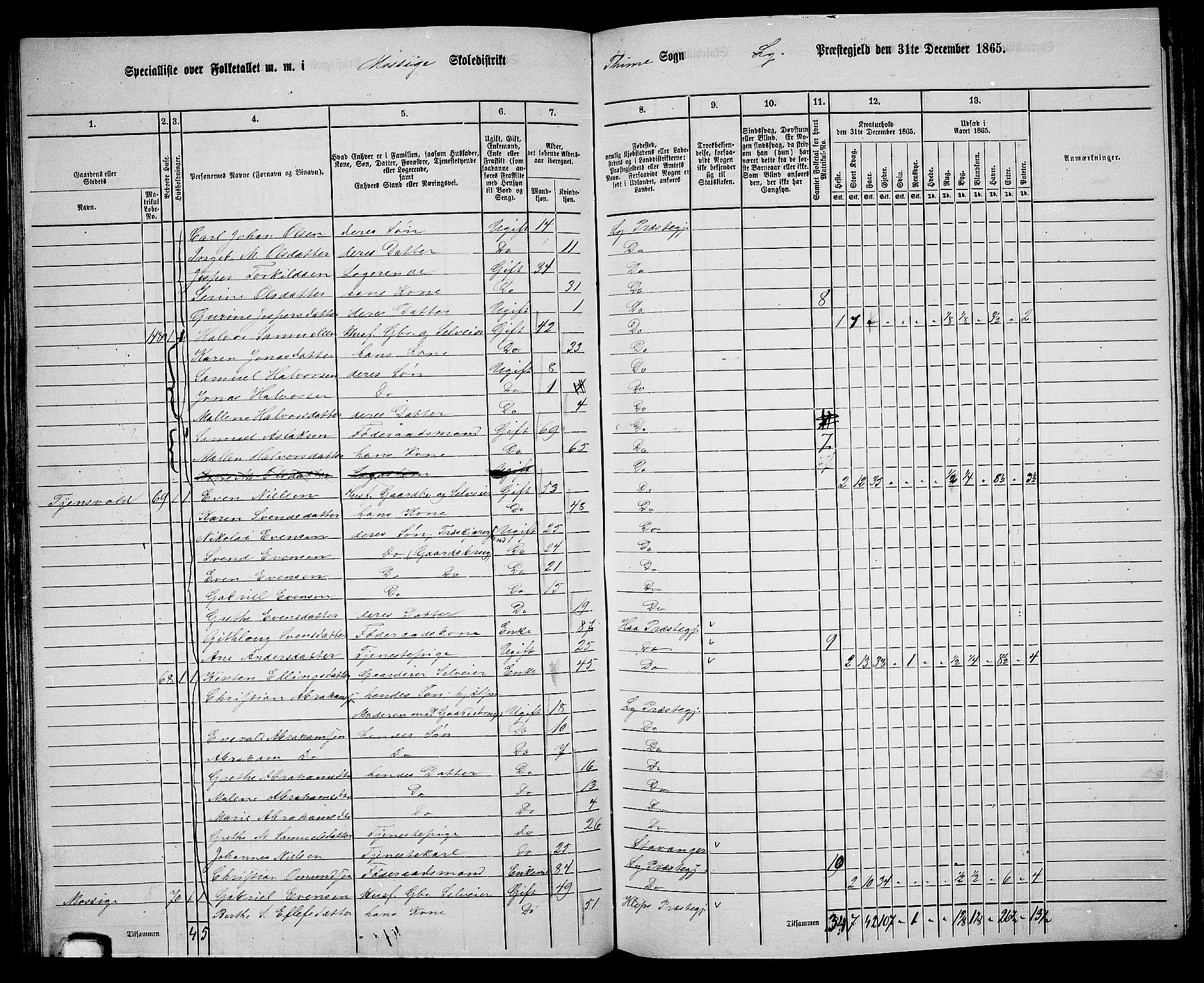 RA, 1865 census for Lye, 1865, p. 88