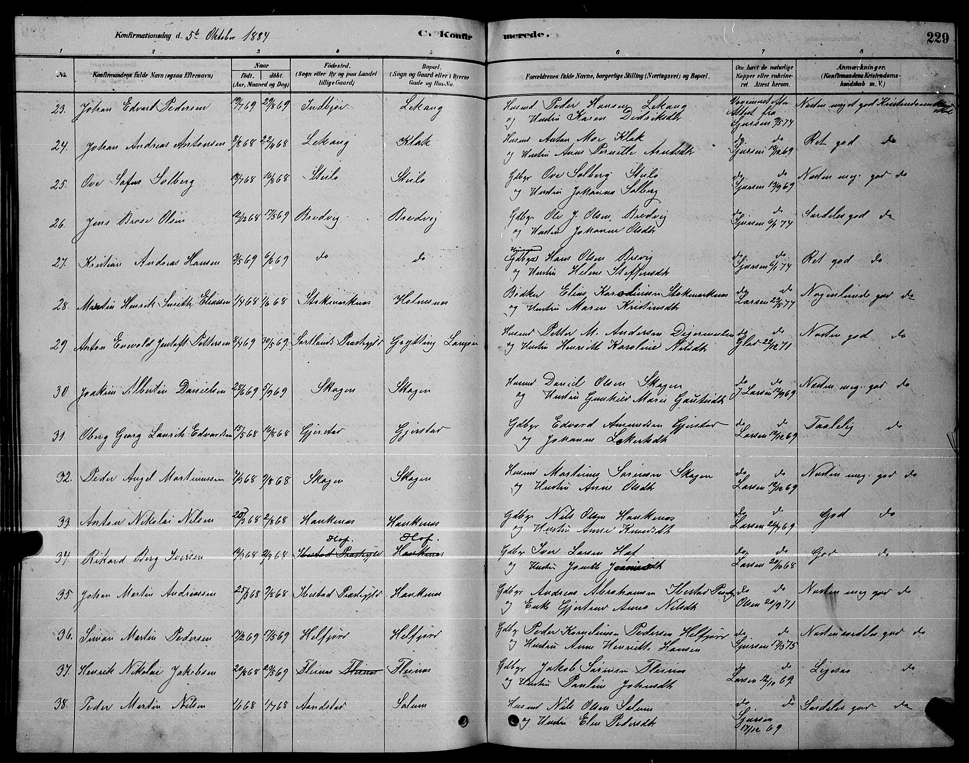 Ministerialprotokoller, klokkerbøker og fødselsregistre - Nordland, AV/SAT-A-1459/888/L1267: Parish register (copy) no. 888C05, 1878-1890, p. 229