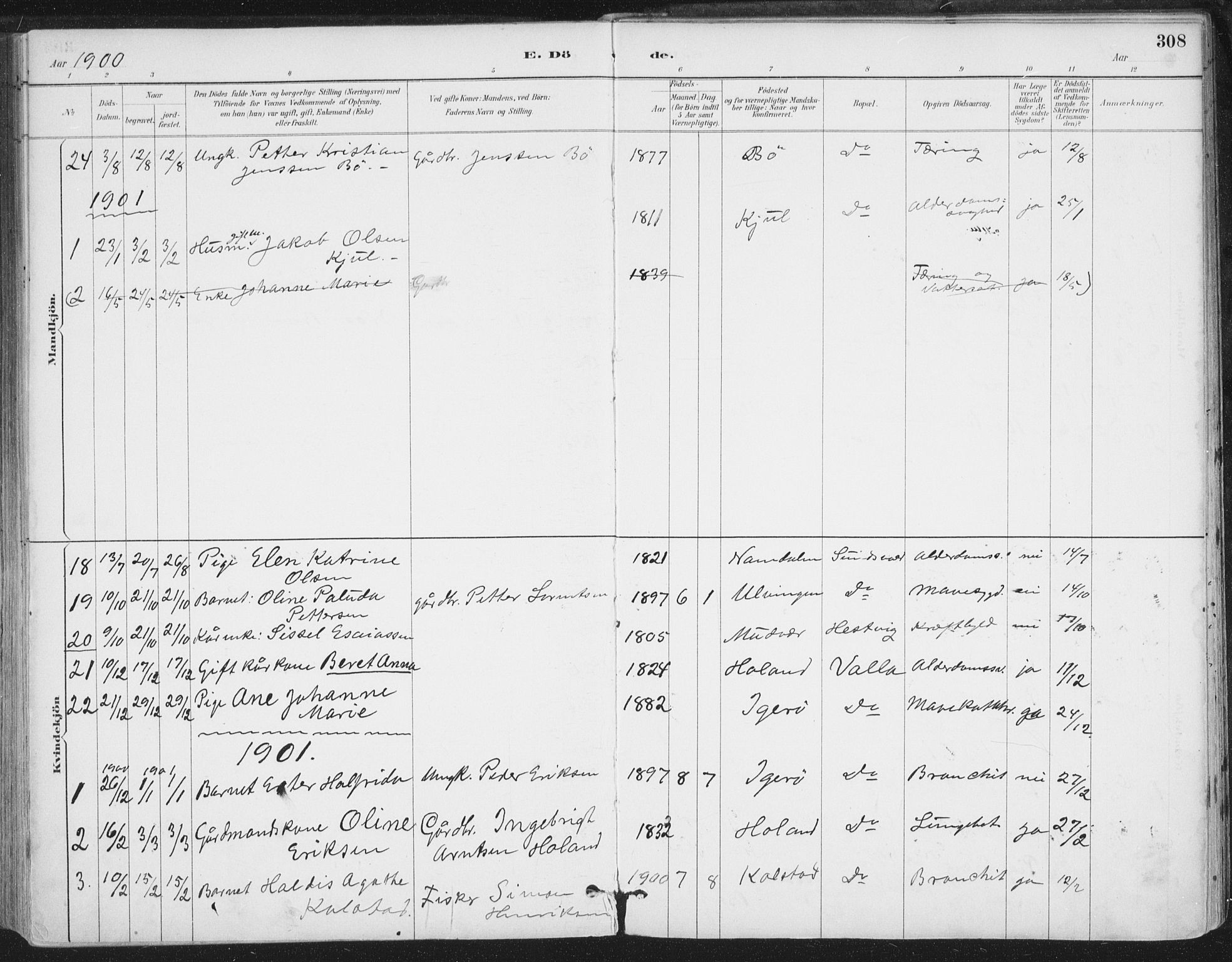 Ministerialprotokoller, klokkerbøker og fødselsregistre - Nordland, AV/SAT-A-1459/816/L0244: Parish register (official) no. 816A10, 1886-1903, p. 308