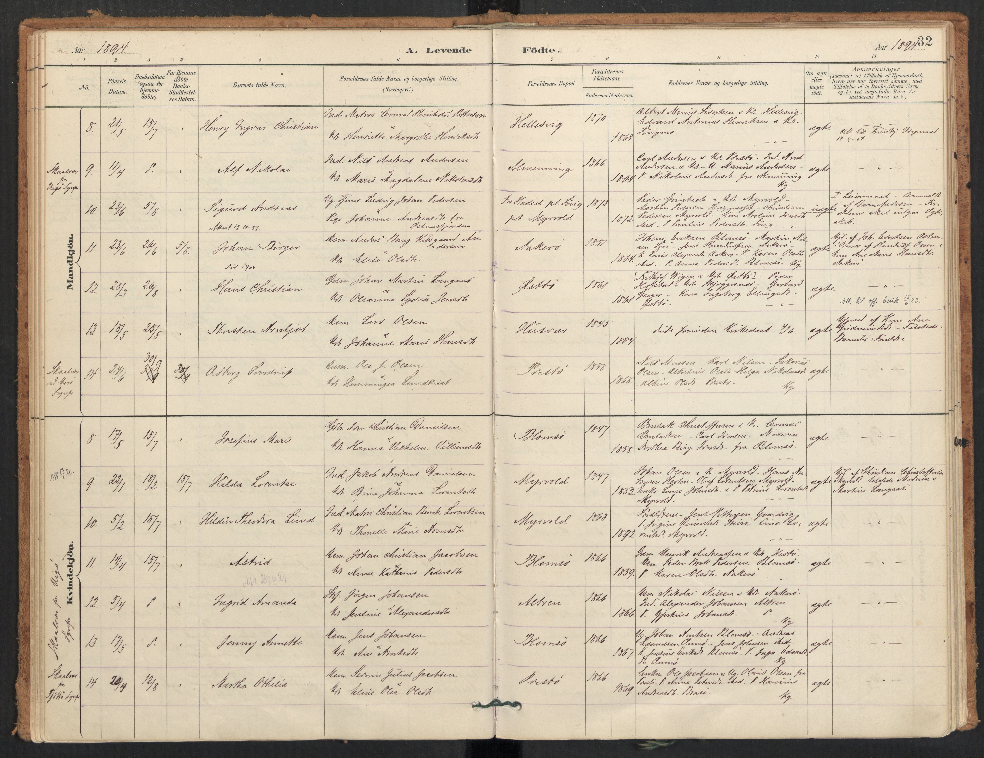 Ministerialprotokoller, klokkerbøker og fødselsregistre - Nordland, AV/SAT-A-1459/830/L0453: Parish register (official) no. 830A17, 1886-1911, p. 32