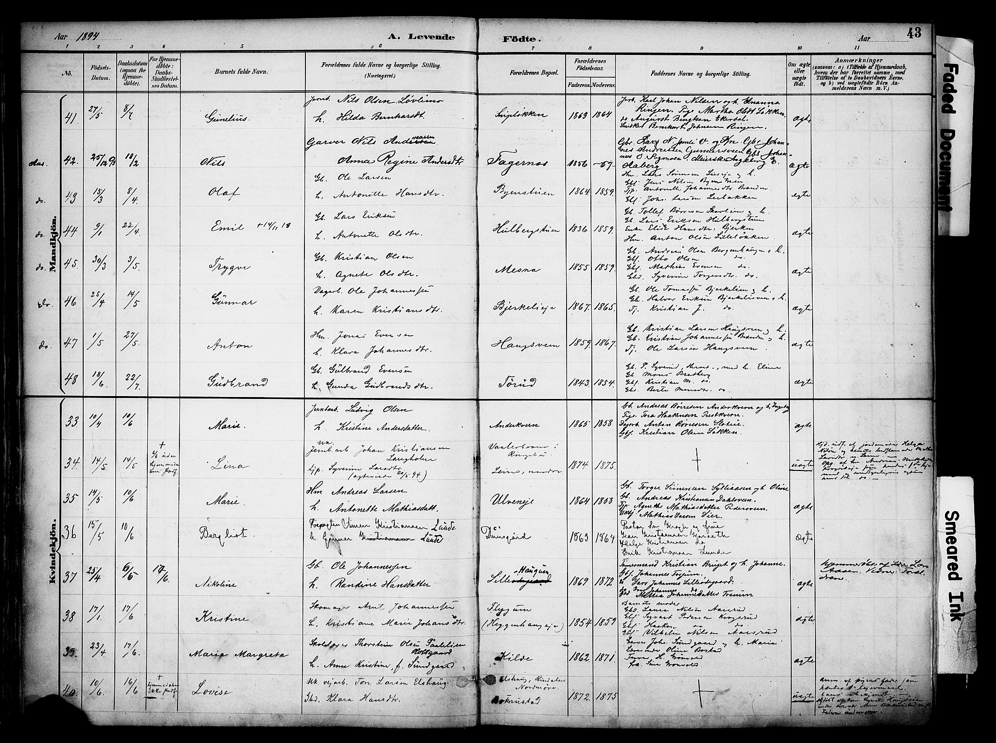 Ringsaker prestekontor, AV/SAH-PREST-014/K/Ka/L0017: Parish register (official) no. 17, 1891-1902, p. 43