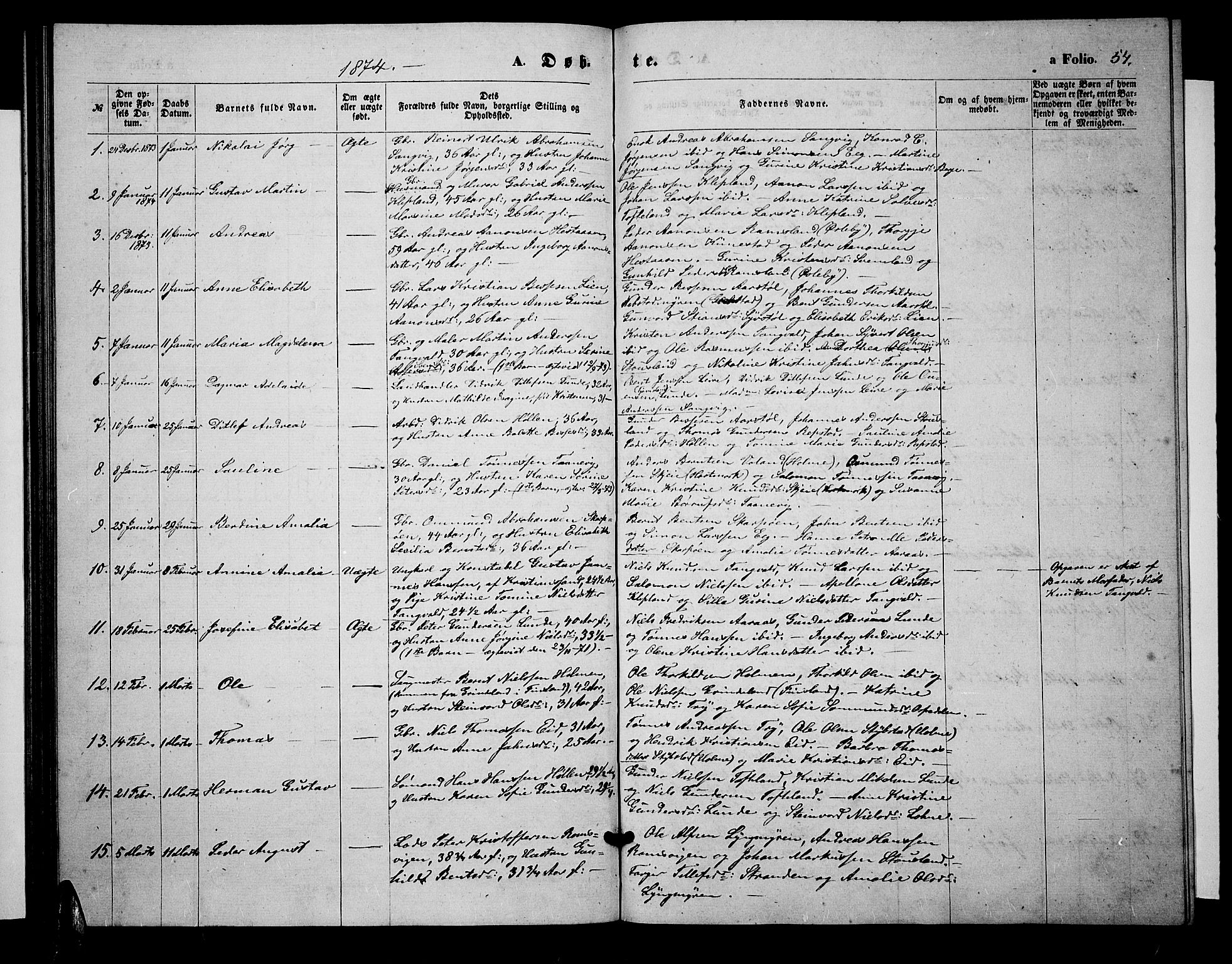 Søgne sokneprestkontor, SAK/1111-0037/F/Fb/Fbb/L0004: Parish register (copy) no. B 4, 1864-1883, p. 54