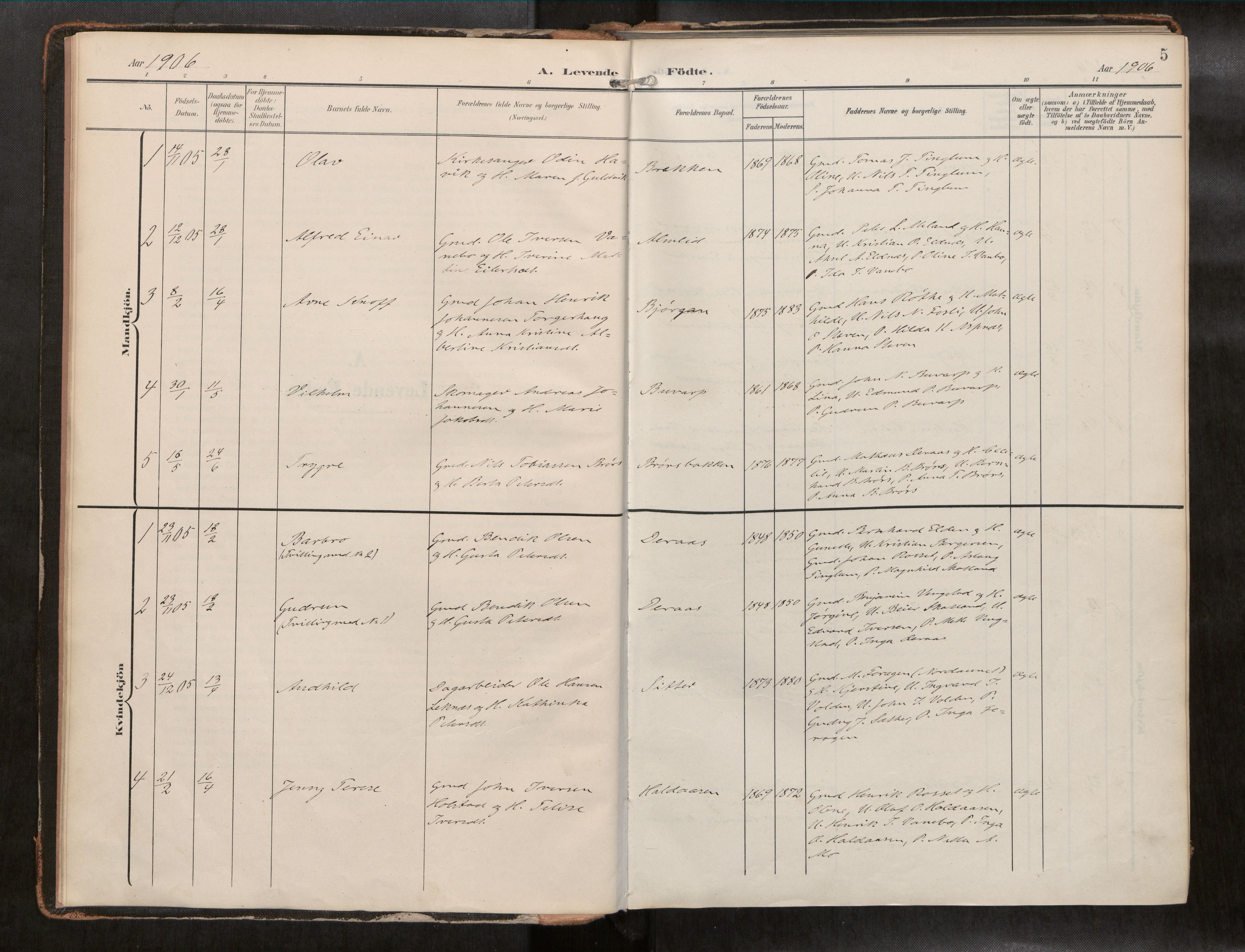 Ministerialprotokoller, klokkerbøker og fødselsregistre - Nord-Trøndelag, SAT/A-1458/742/L0409a: Parish register (official) no. 742A03, 1906-1924, p. 5