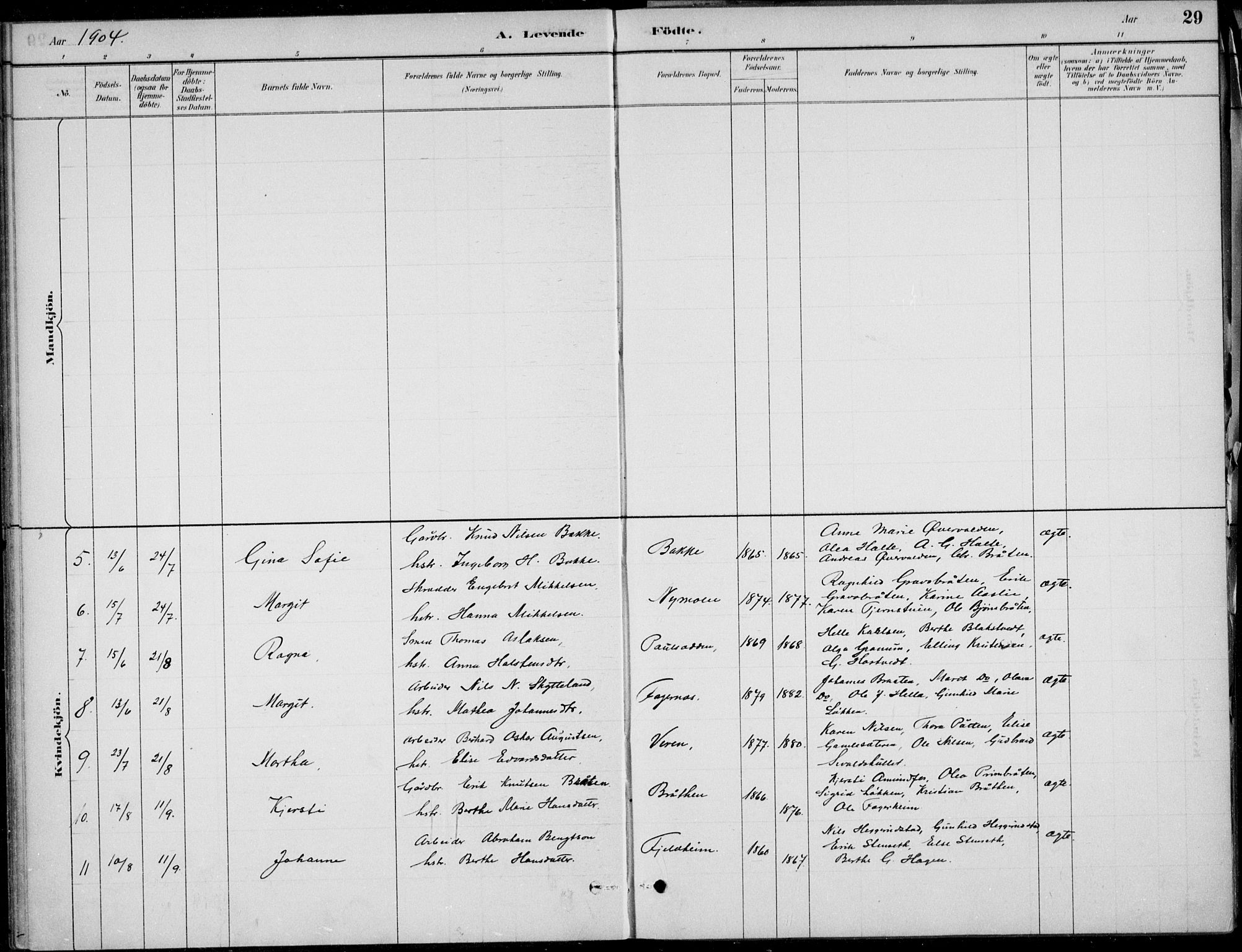 Ådal kirkebøker, AV/SAKO-A-248/F/Fa/L0004: Parish register (official) no. I 4, 1884-1904, p. 29